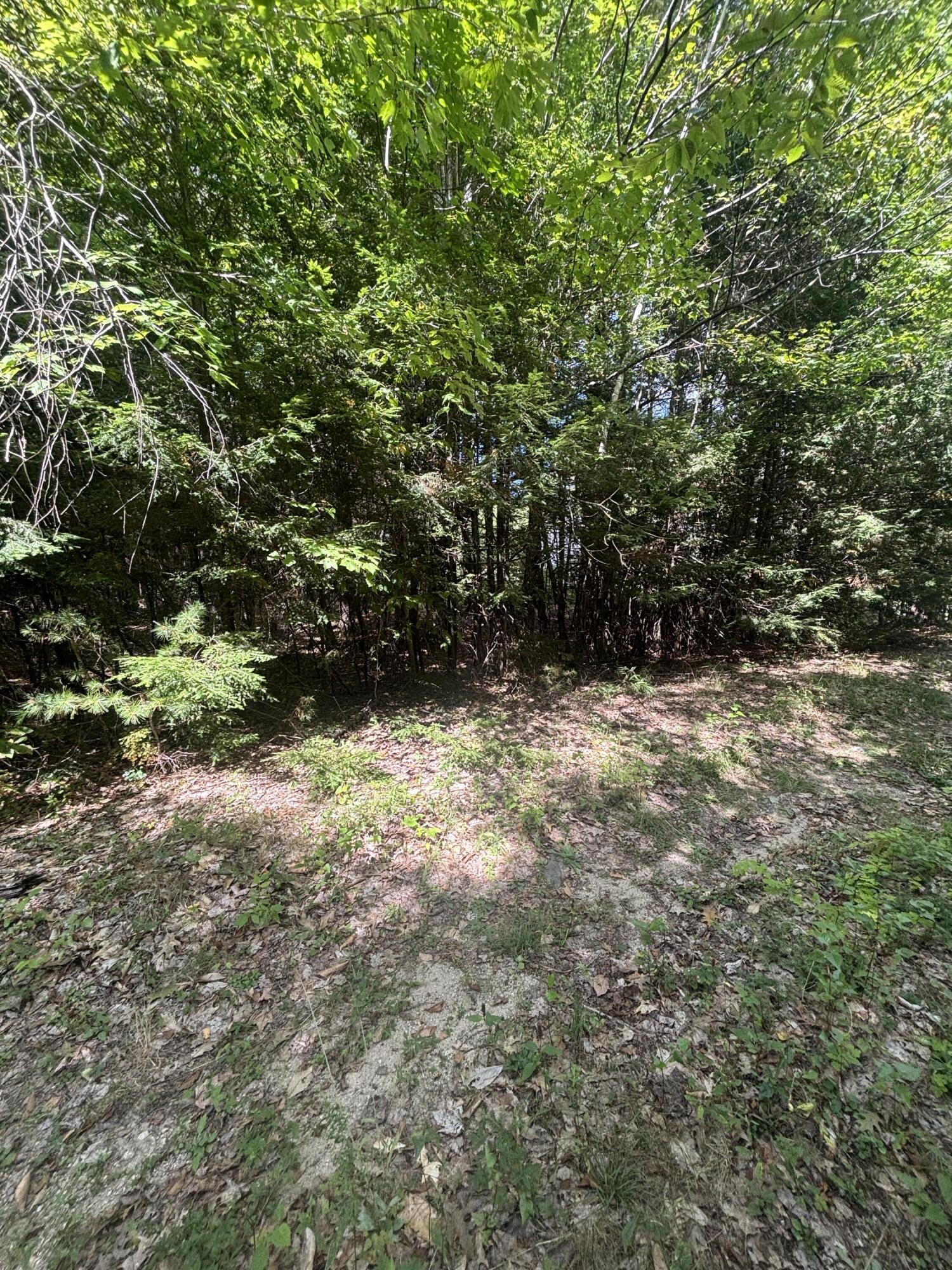 Lot 38-6 Beechwood Lane