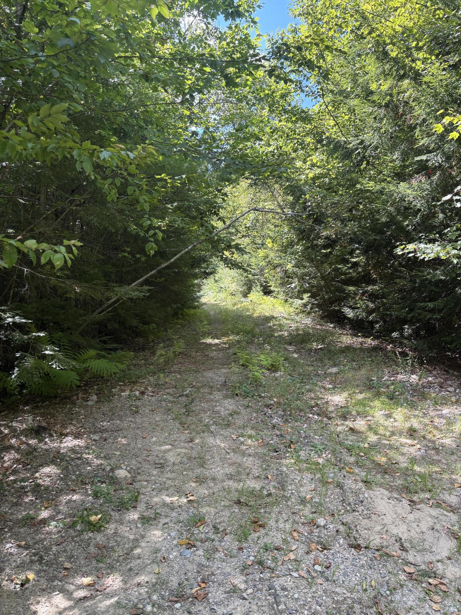 Lot 38-6 Beechwood Lane