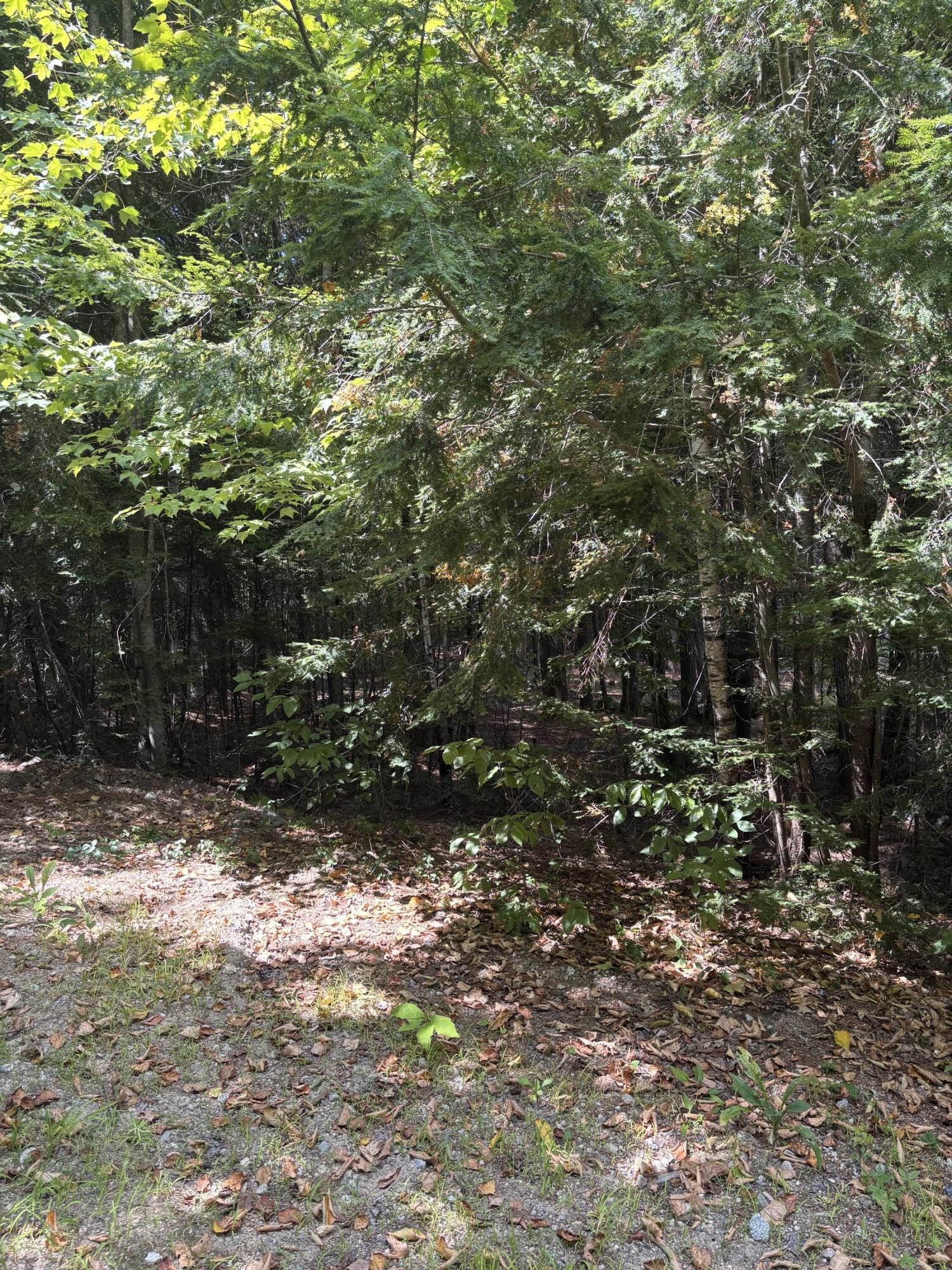 Lot 38-6 Beechwood Lane