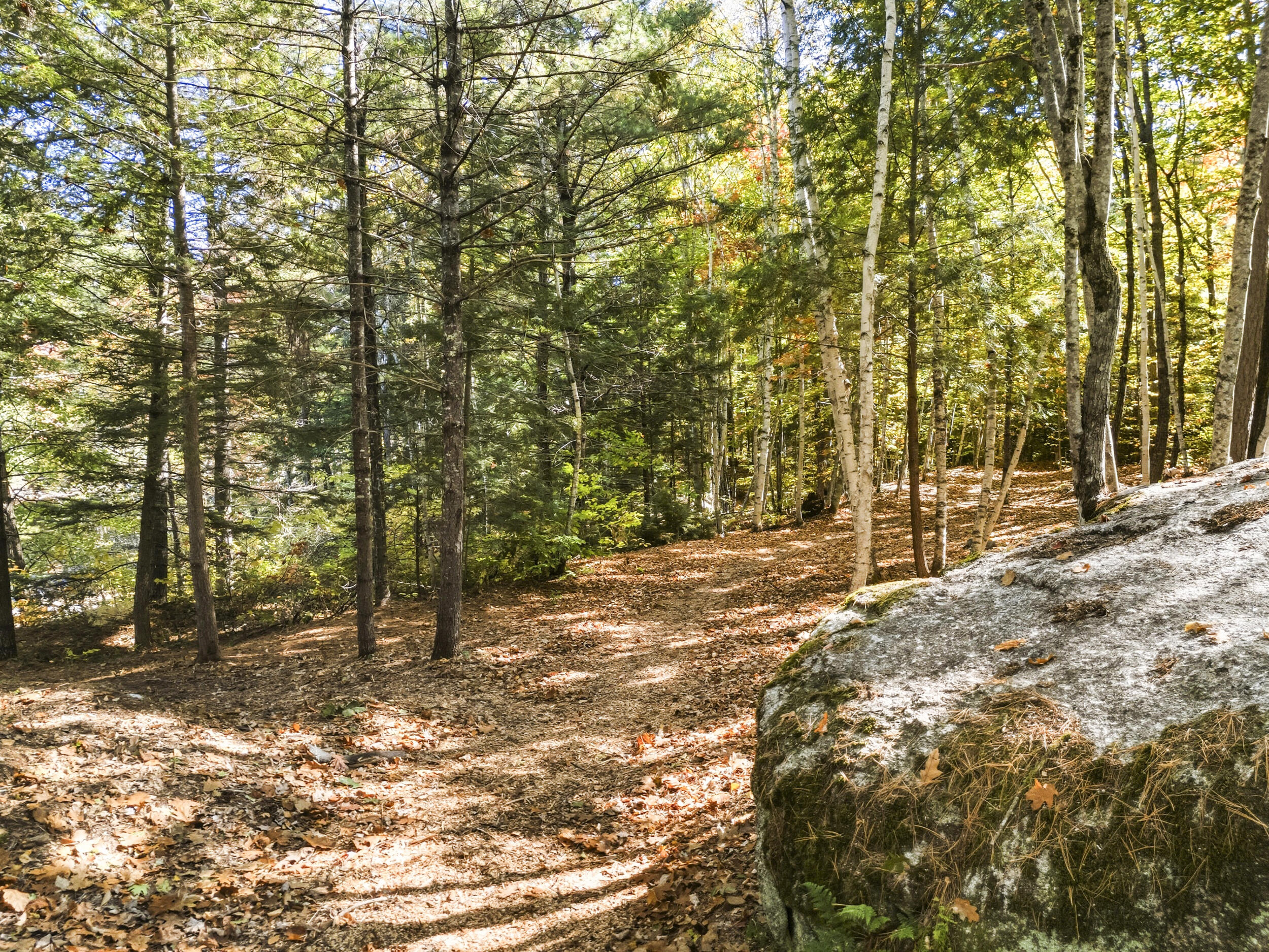 52 N Bridgton Road