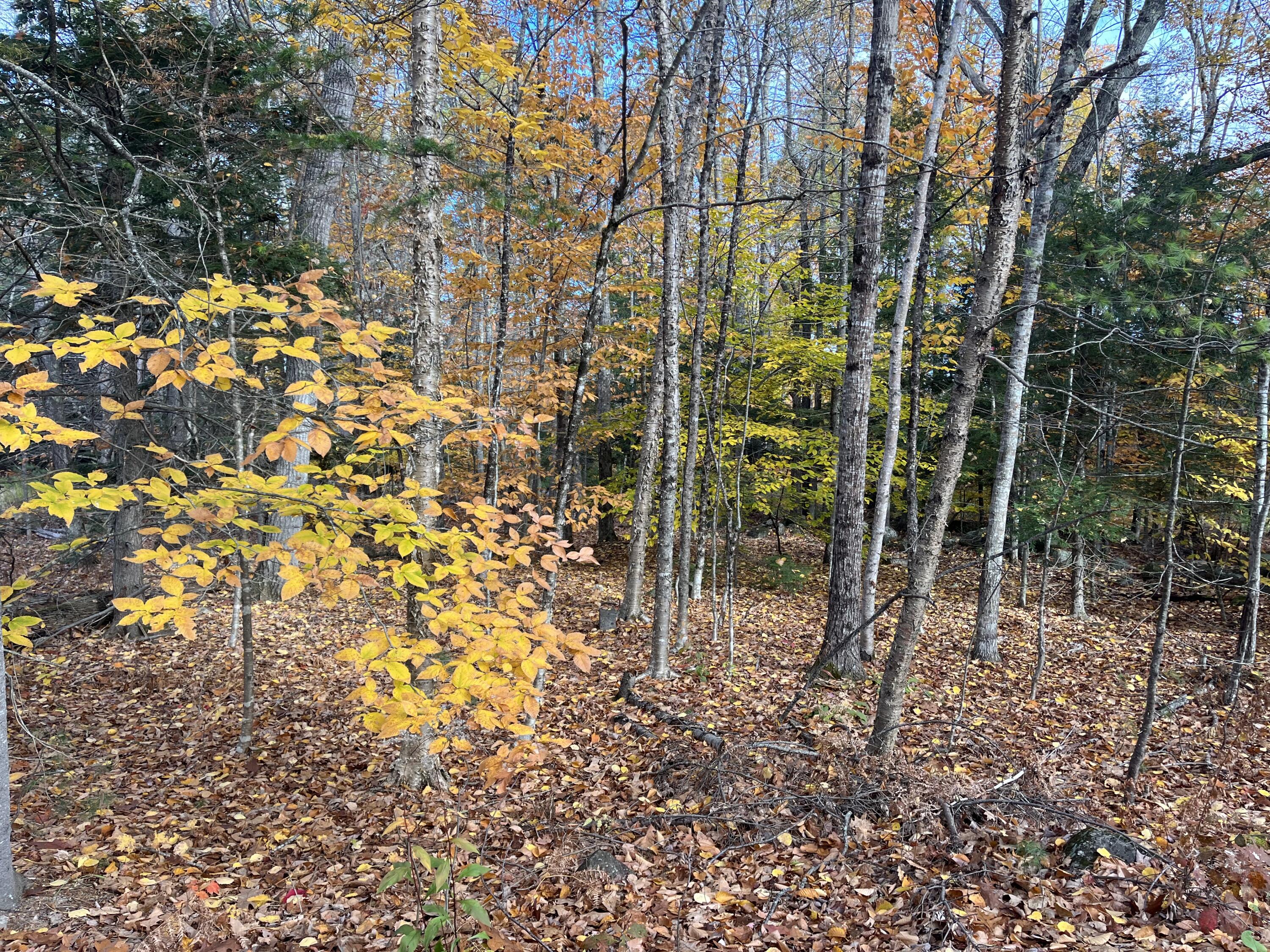 013-040 Hio Ridge Road