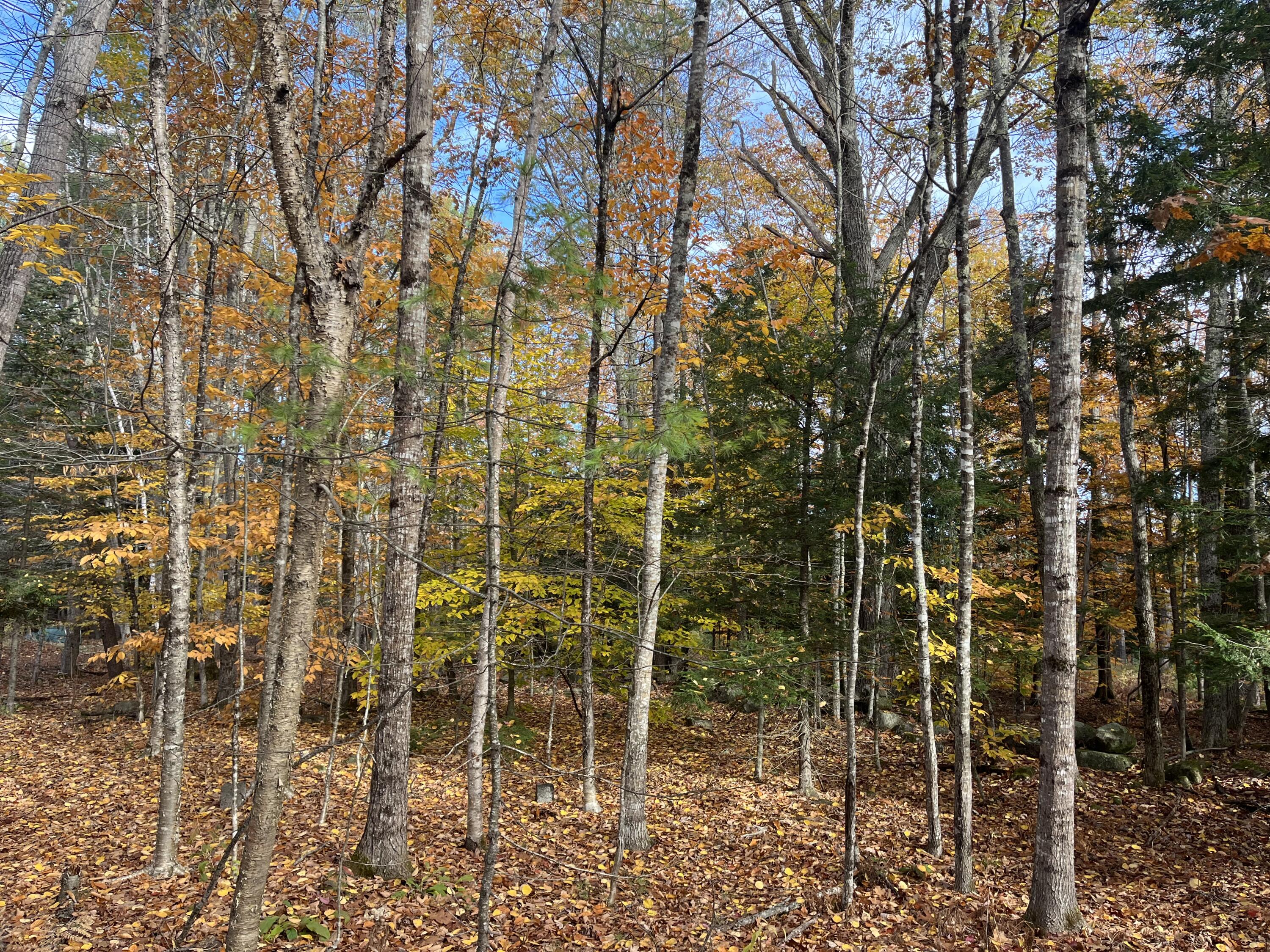 013-040 Hio Ridge Road