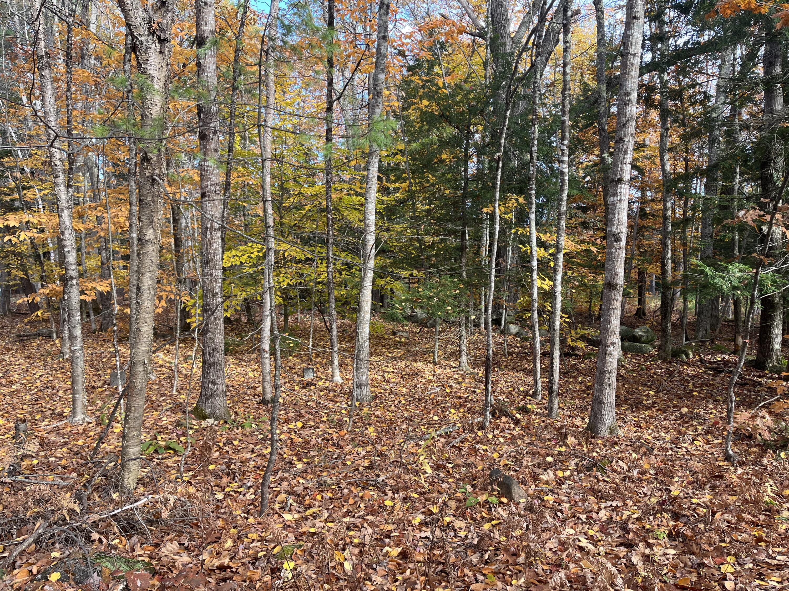 013-040 Hio Ridge Road