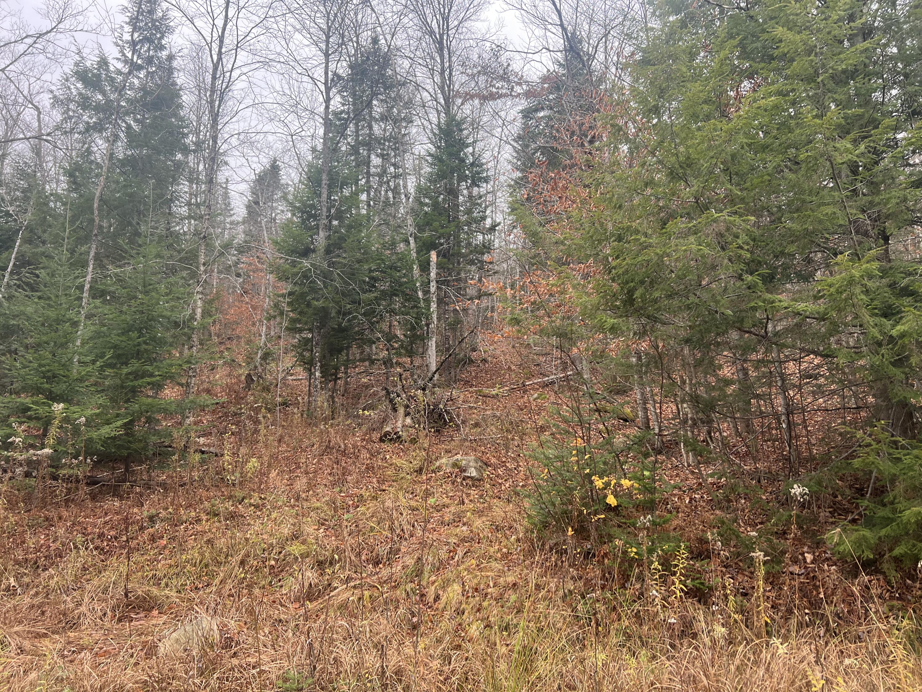 Lot 1 & 2 Thistle Street