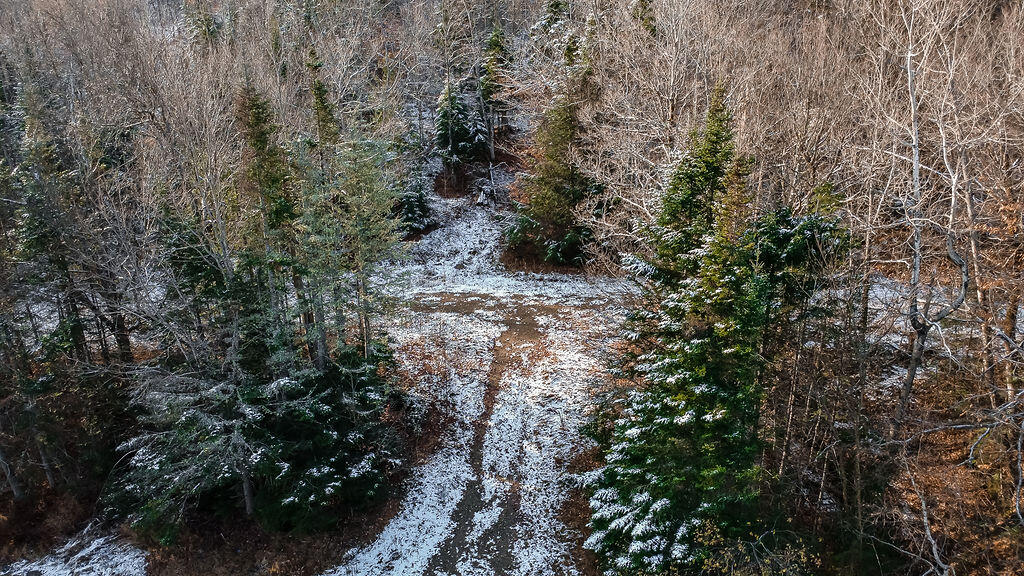 Lot 1 & 2 Thistle Street