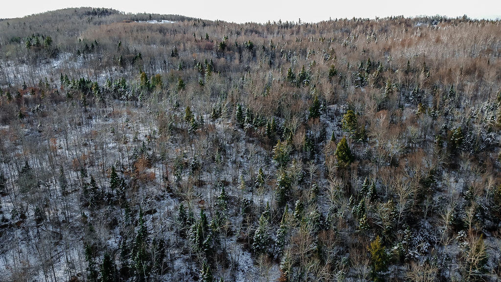 Lot 1 & 2 Thistle Street