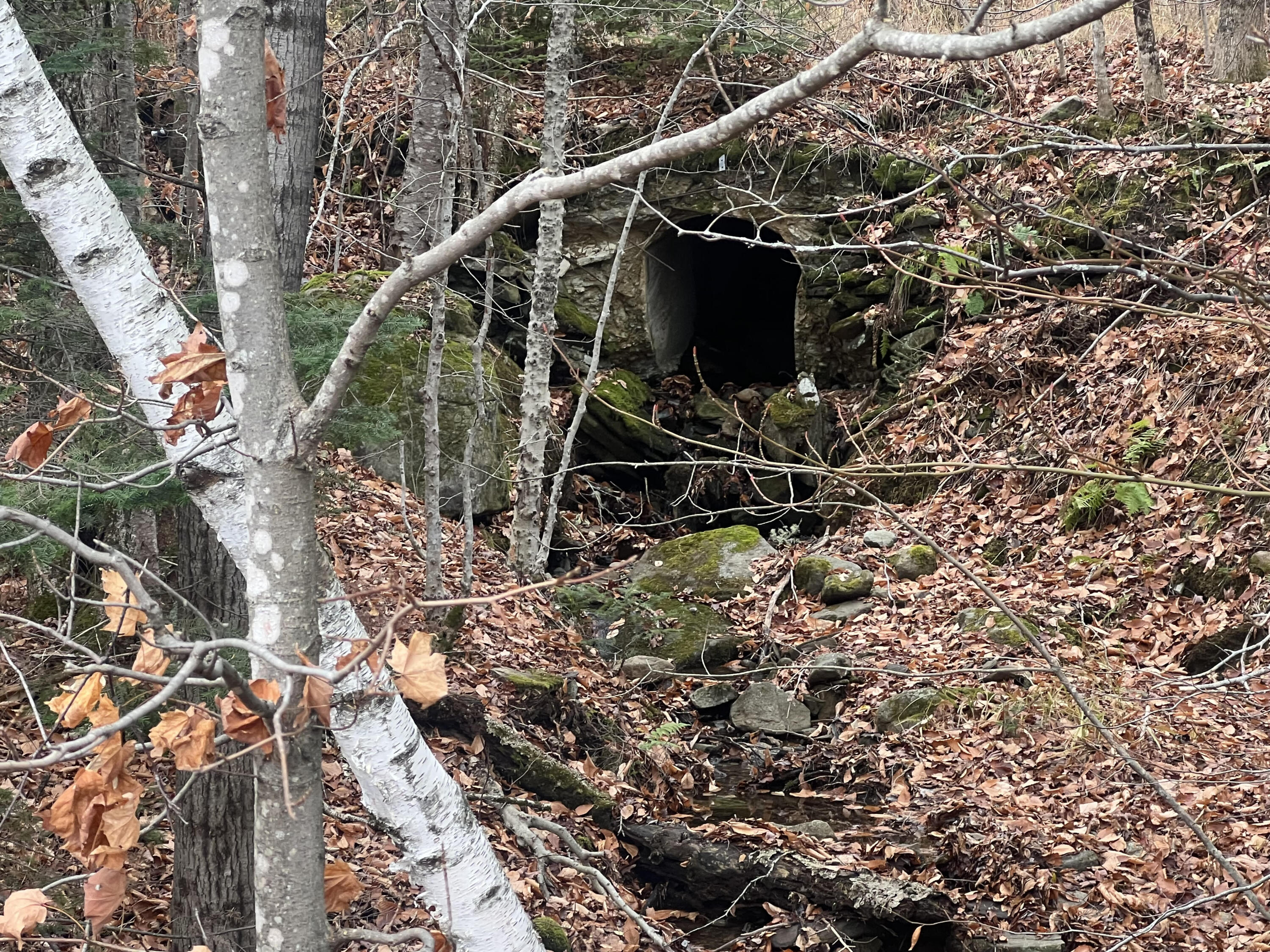 Lot 1 & 2 Thistle Street