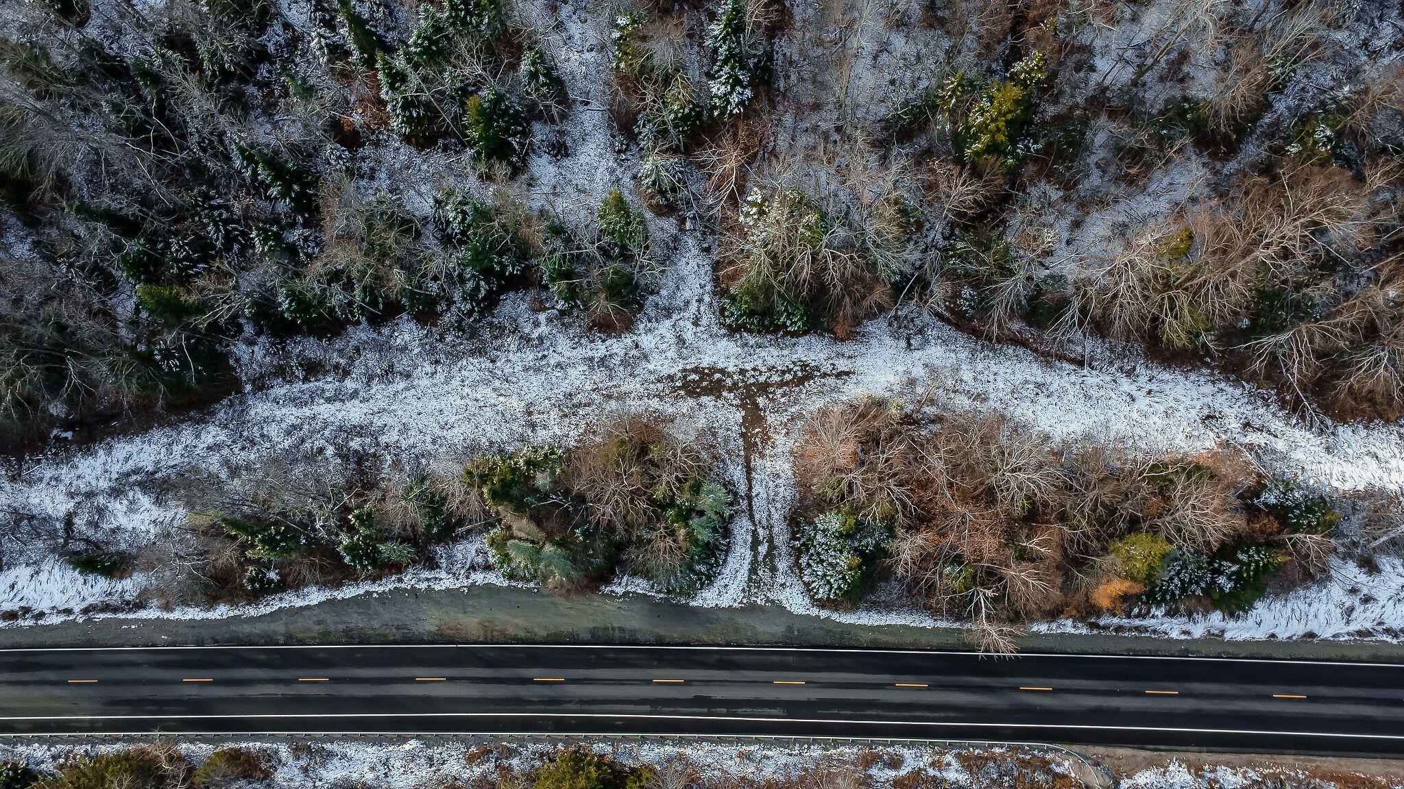 Lot 1 & 2 Thistle Street