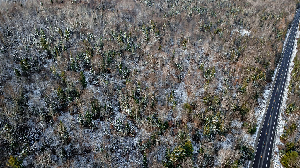 Lot 1 & 2 Thistle Street