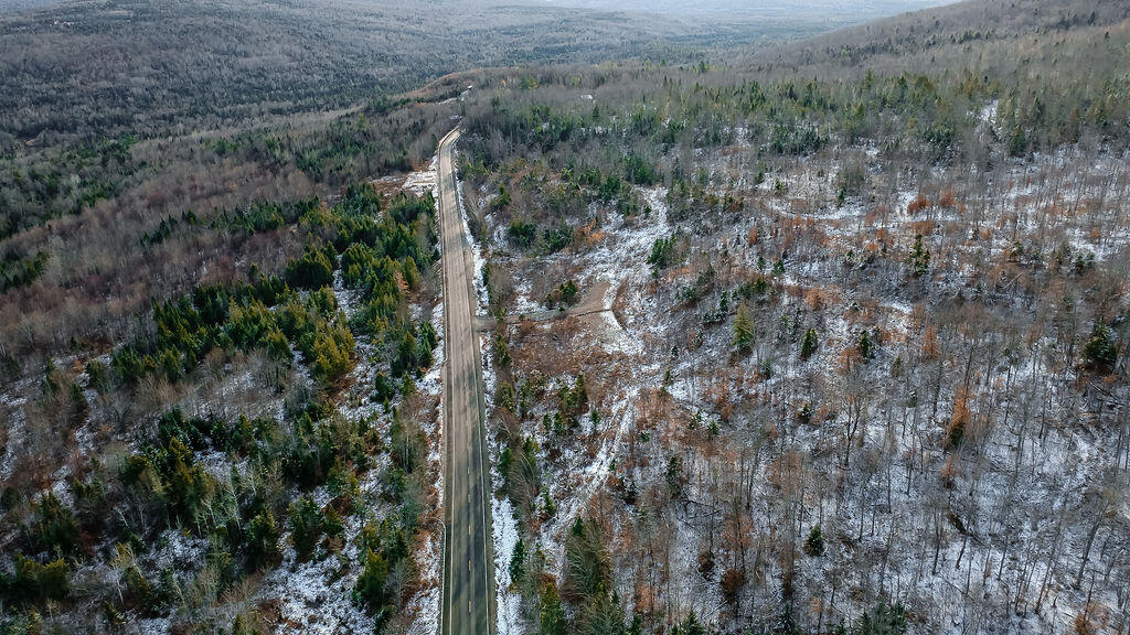 Lot 1 & 2 Thistle Street