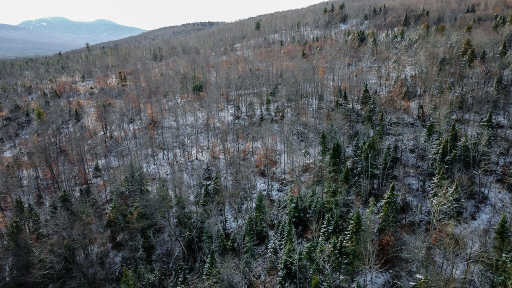 Lot 1 & 2 Thistle Street