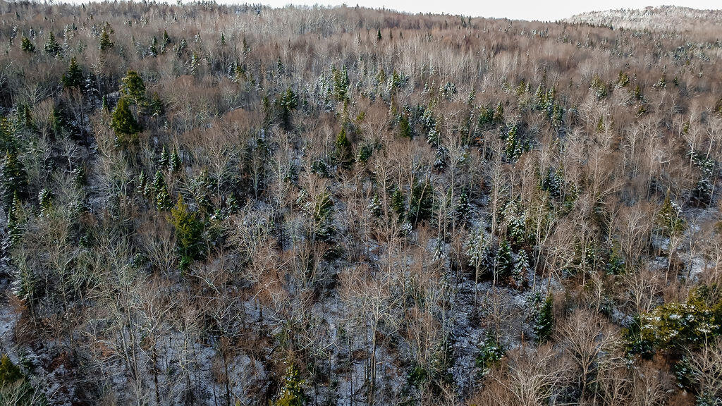 Lot 1 & 2 Thistle Street