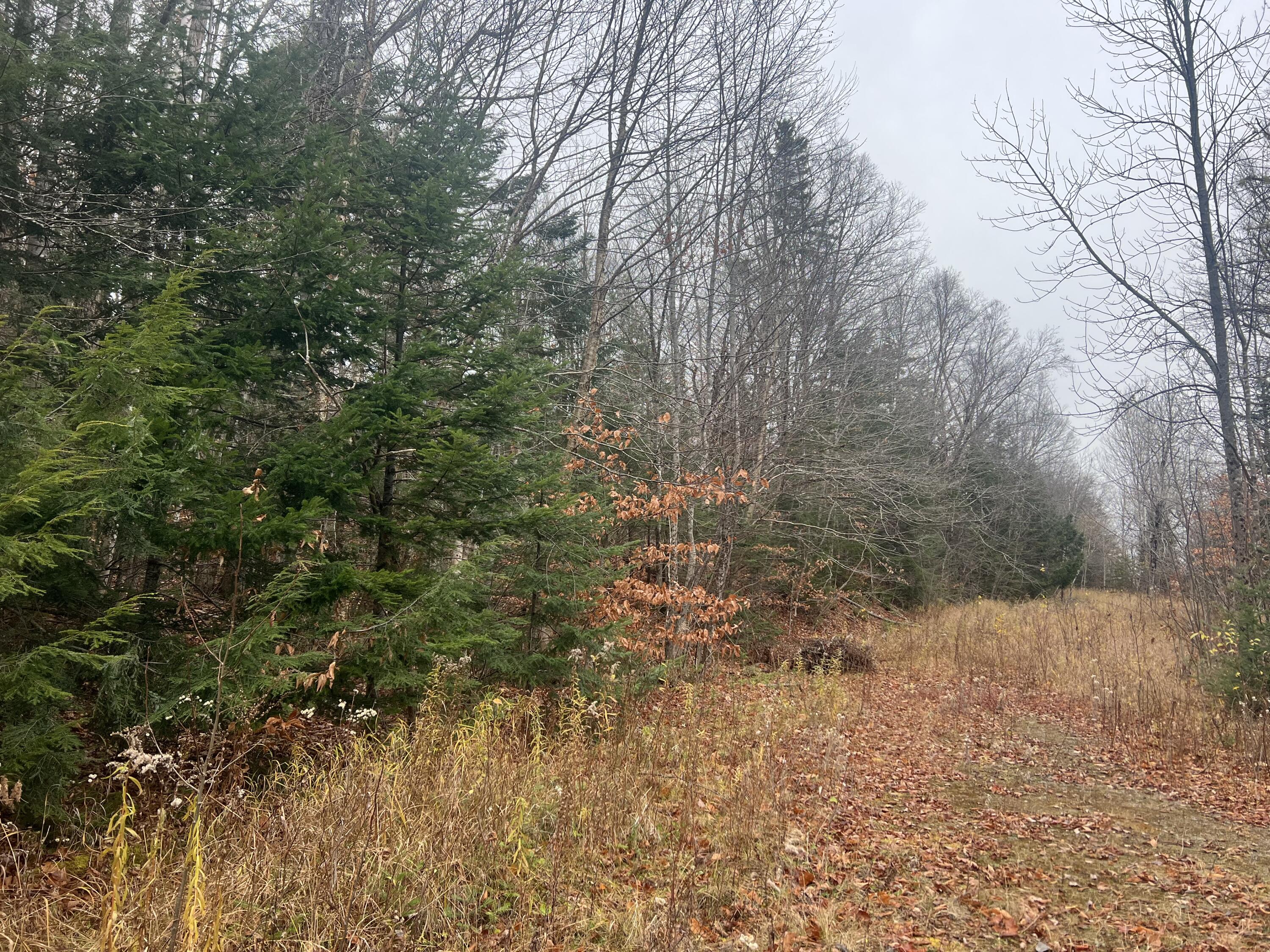 Lot 1 & 2 Thistle Street