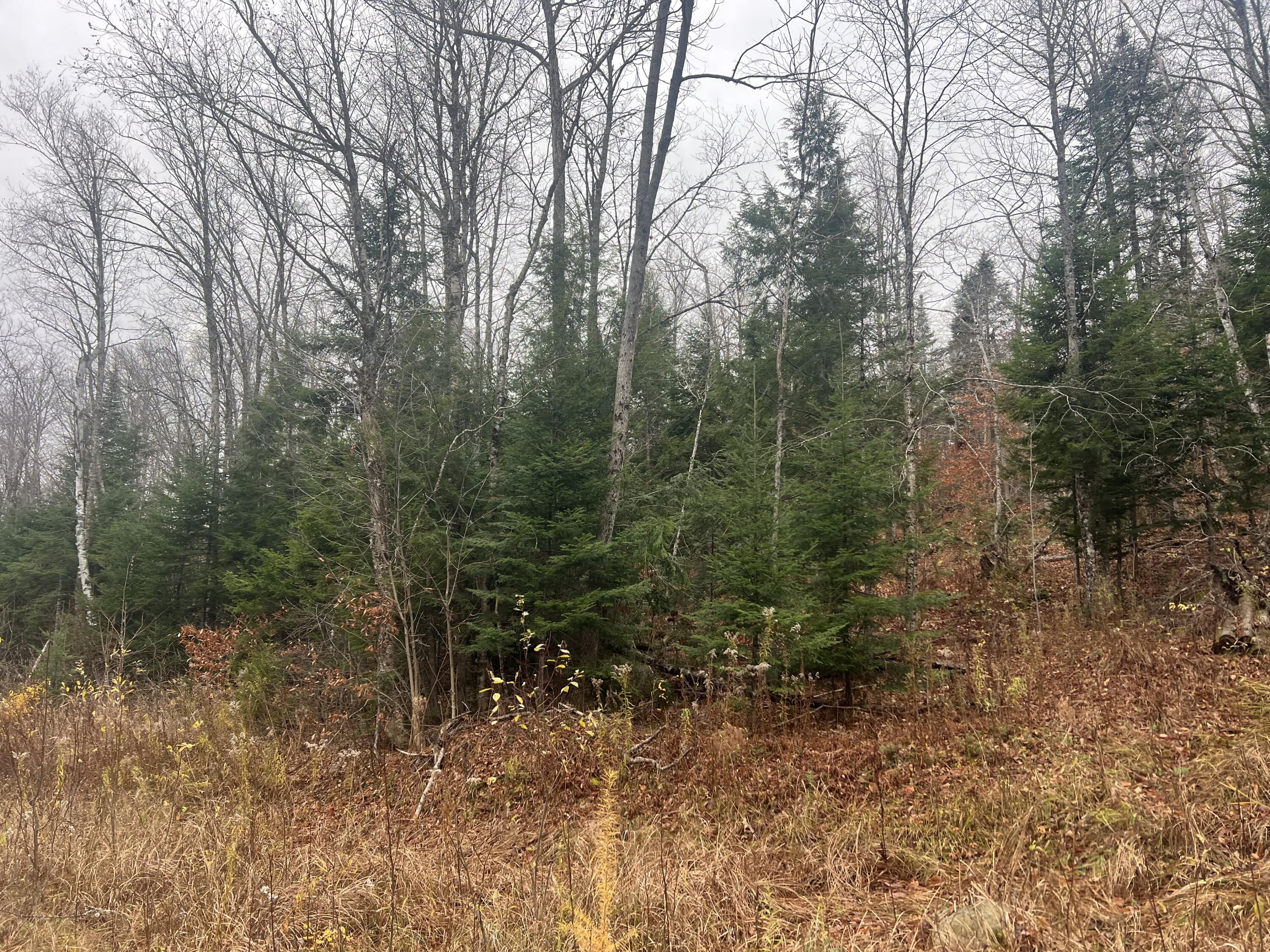 Lot 1 & 2 Thistle Street