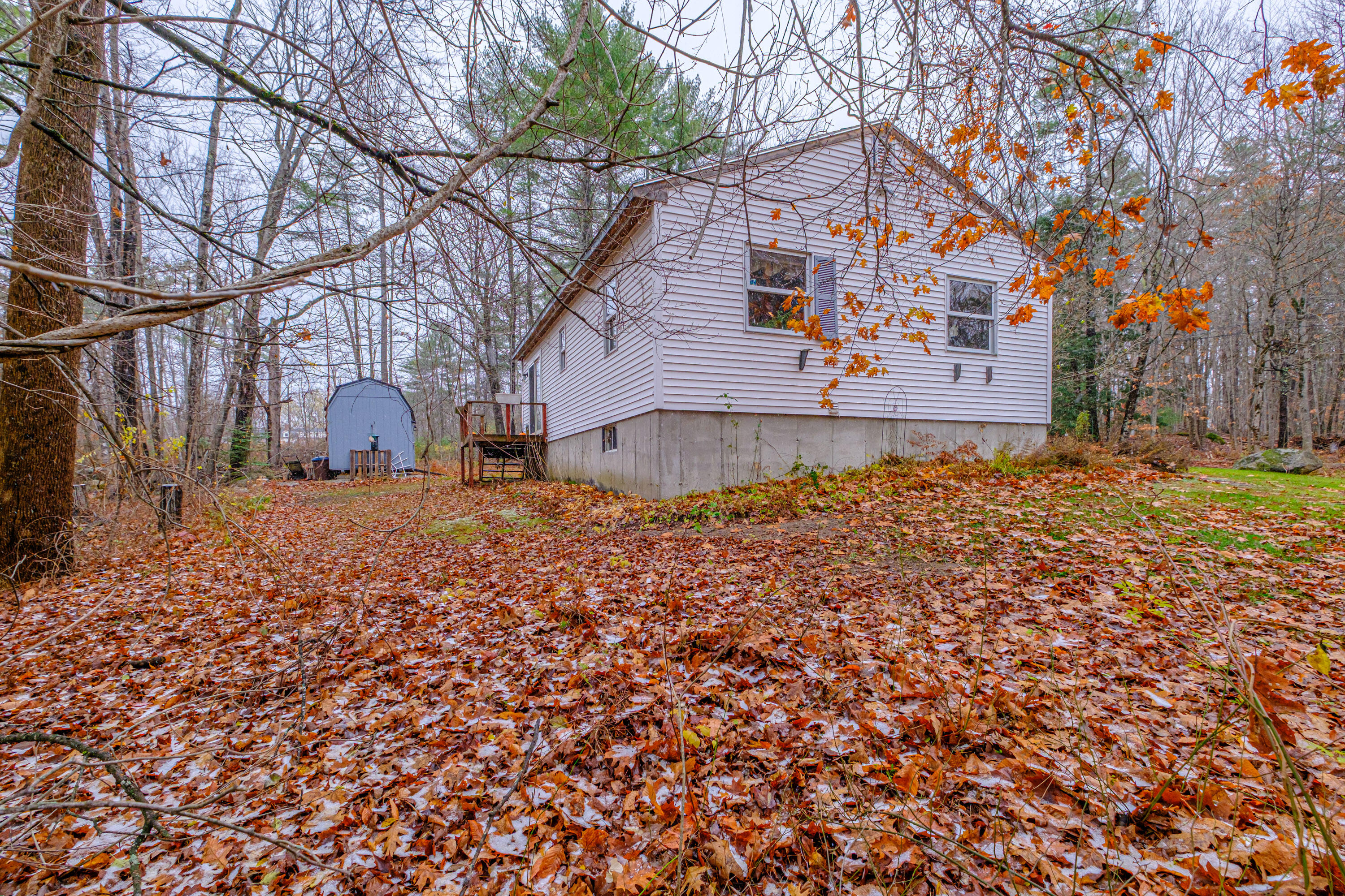 19 Silver Birch Road