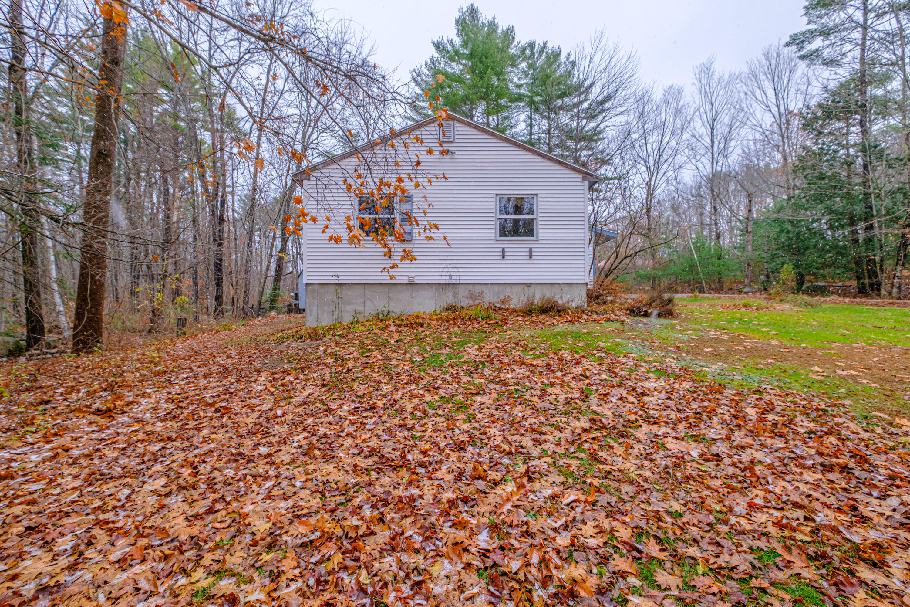 19 Silver Birch Road