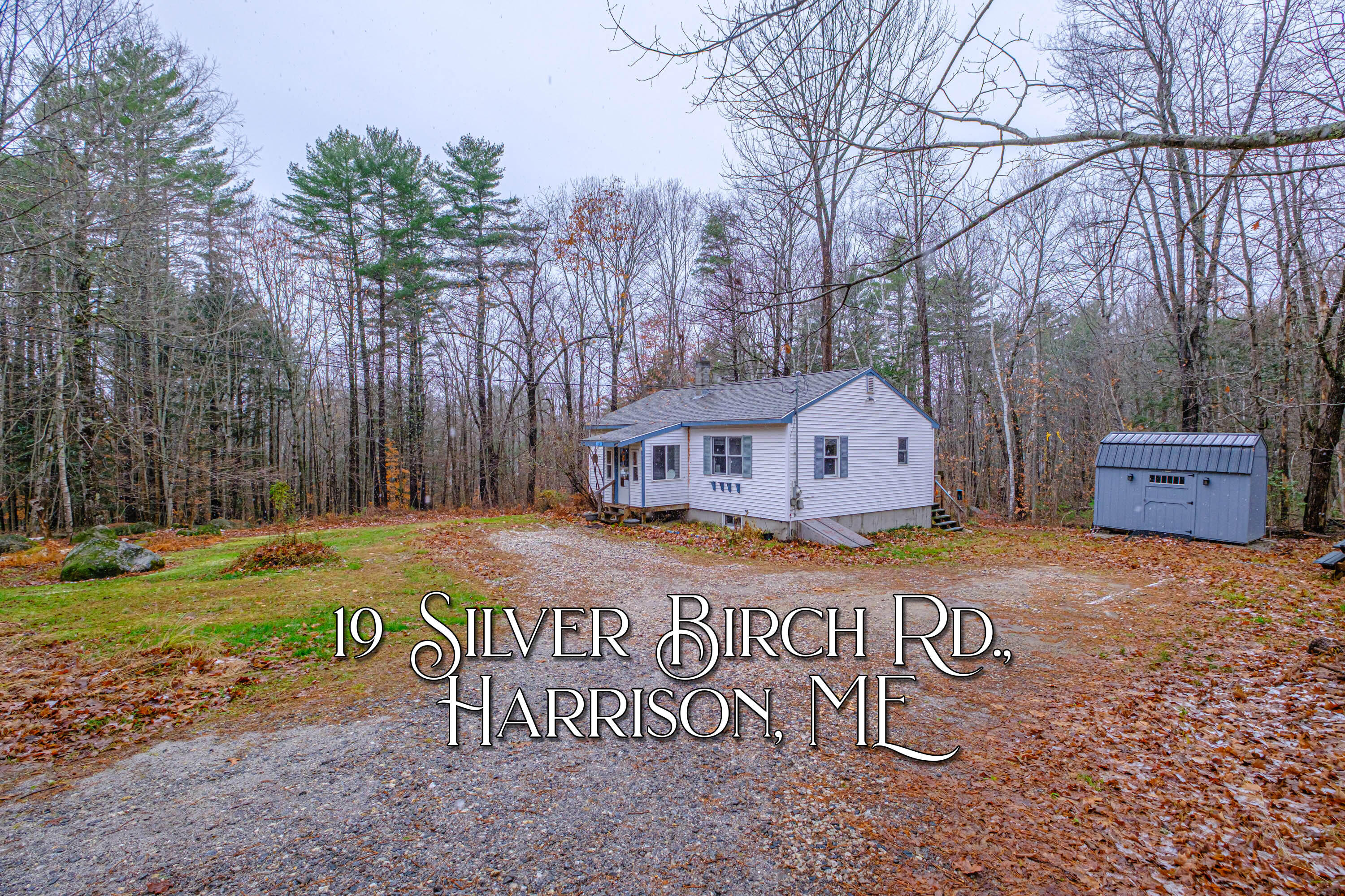 19 Silver Birch Road