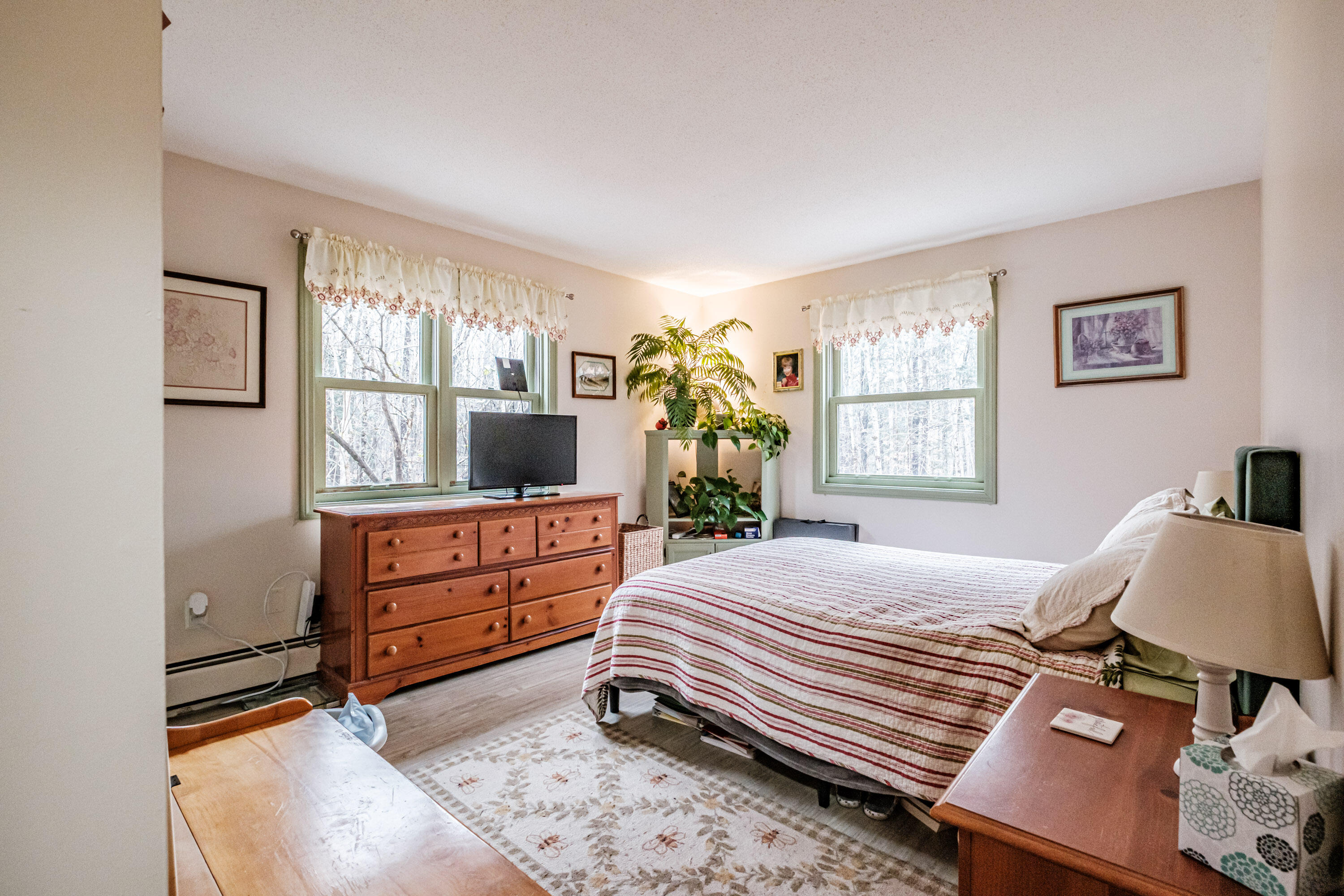 19 Silver Birch Road