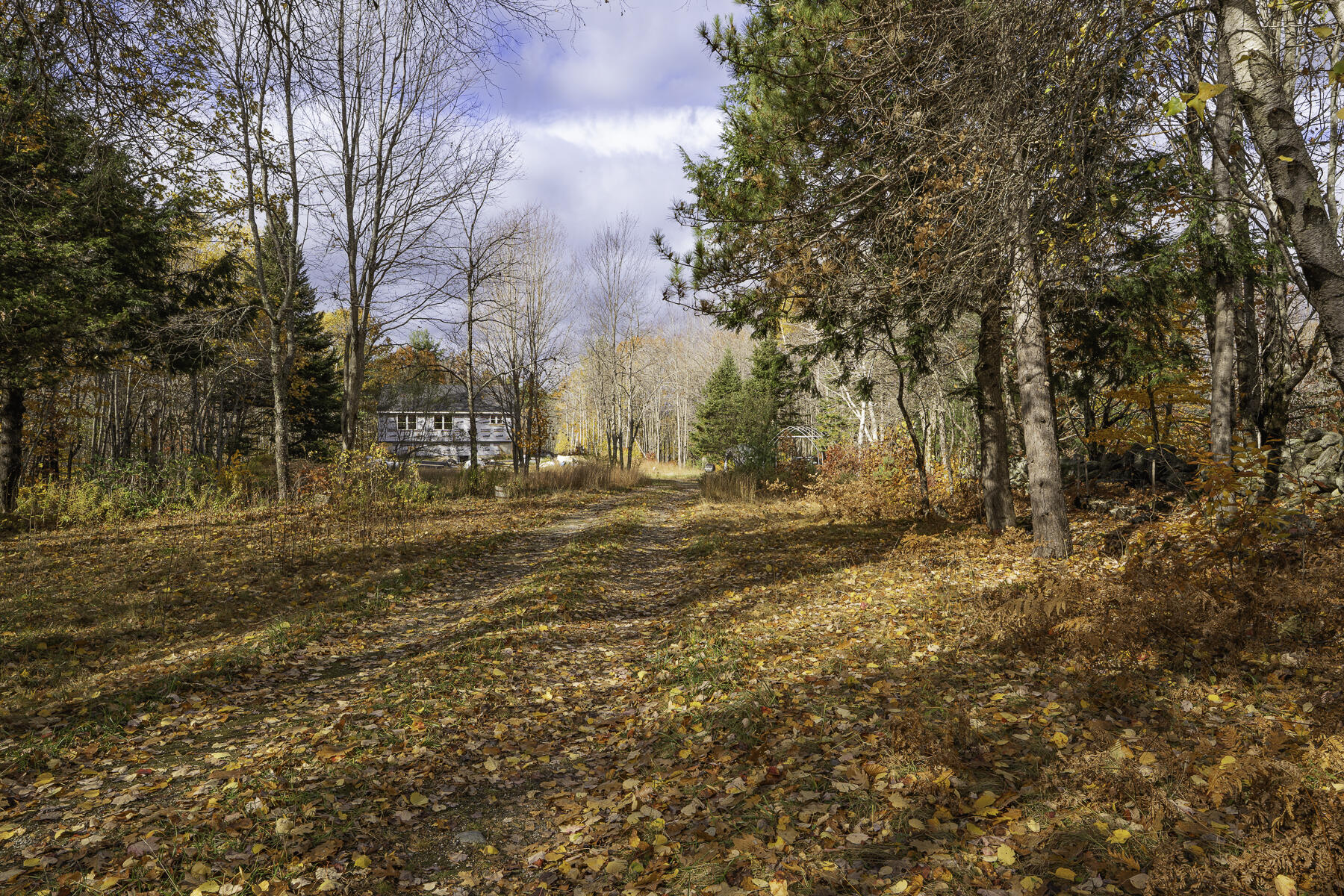 20 Hollyhock Farm Lane
