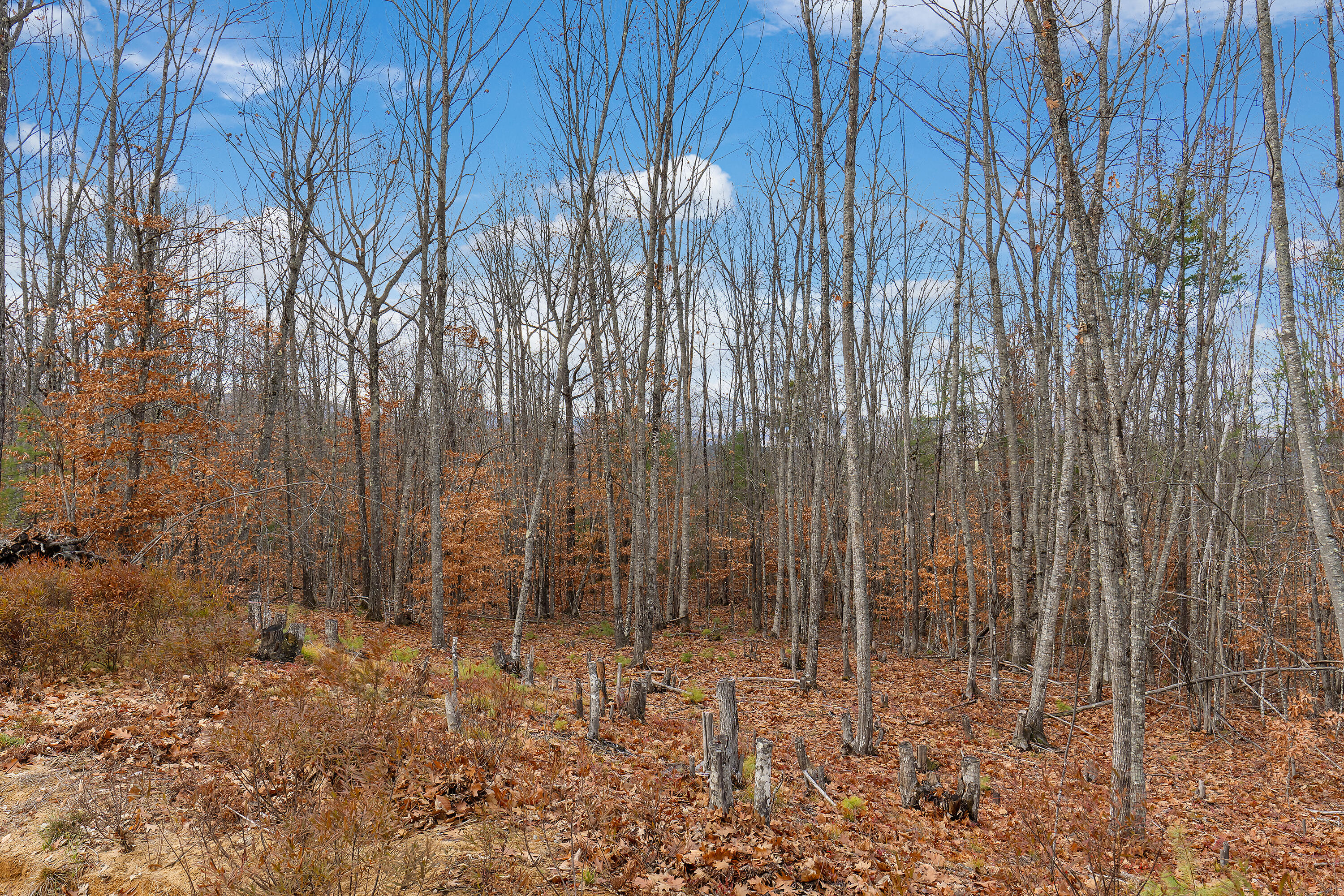 192 Mountain View Road