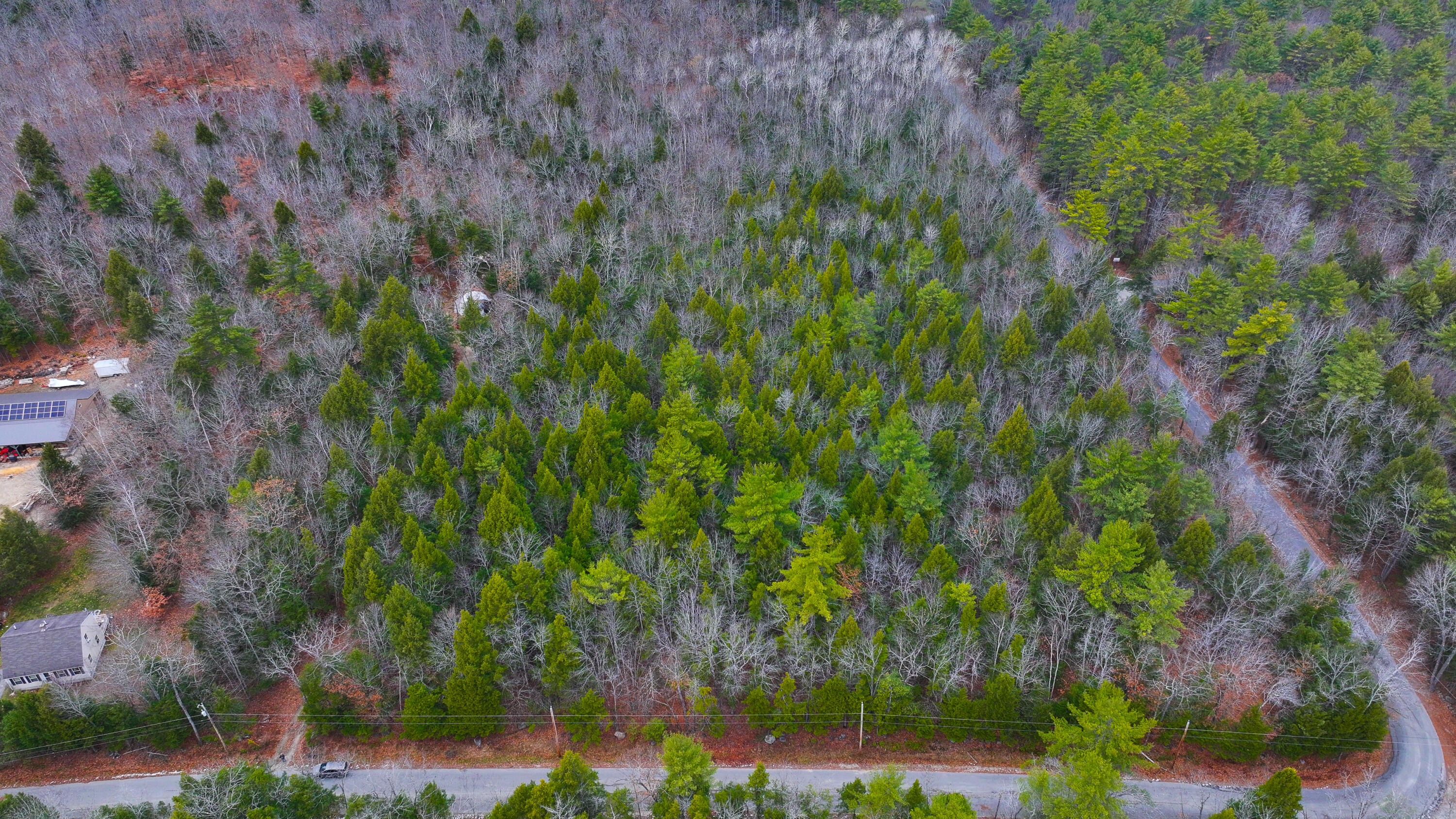 46 Highland Pines Road