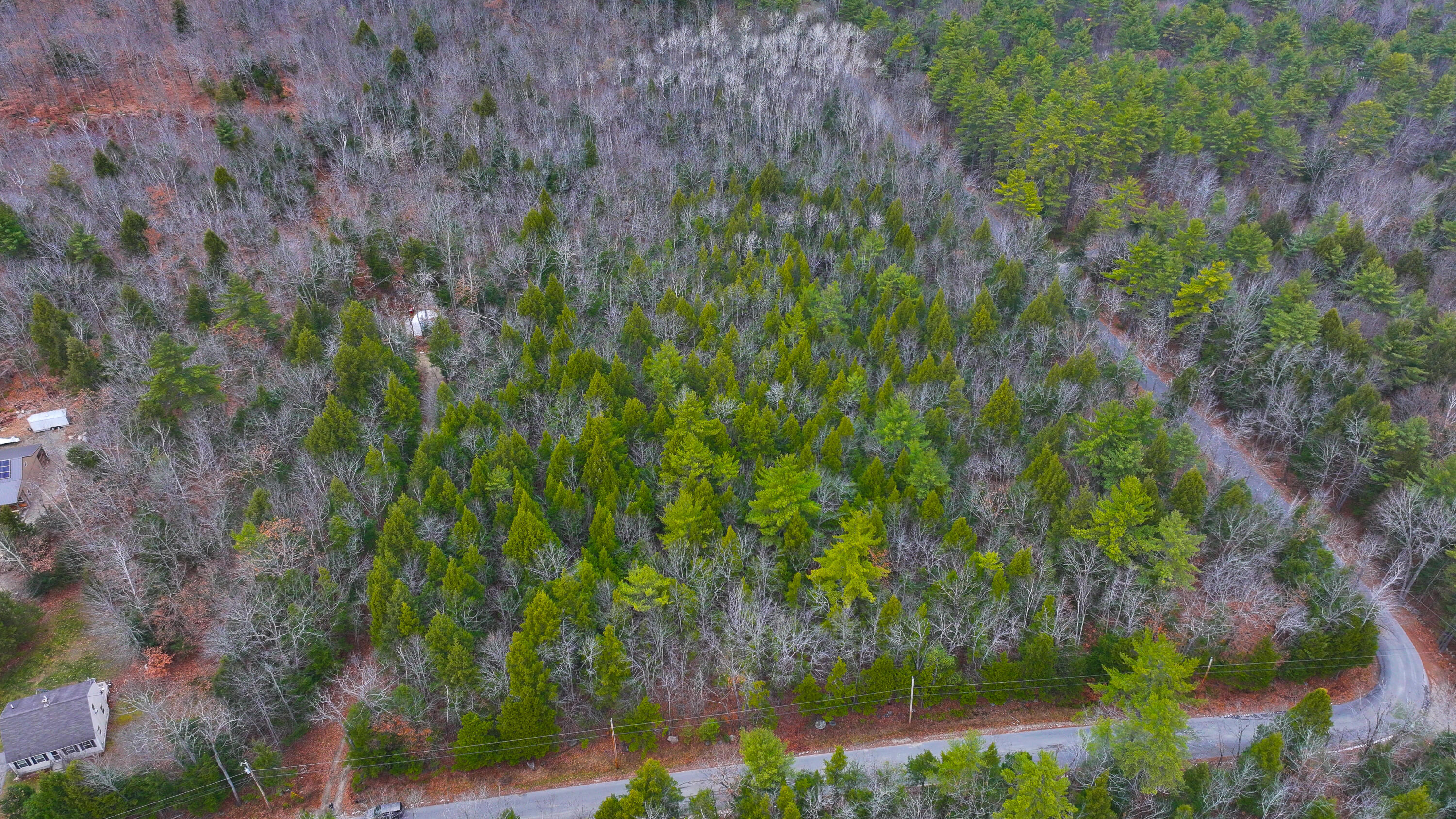 46 Highland Pines Road