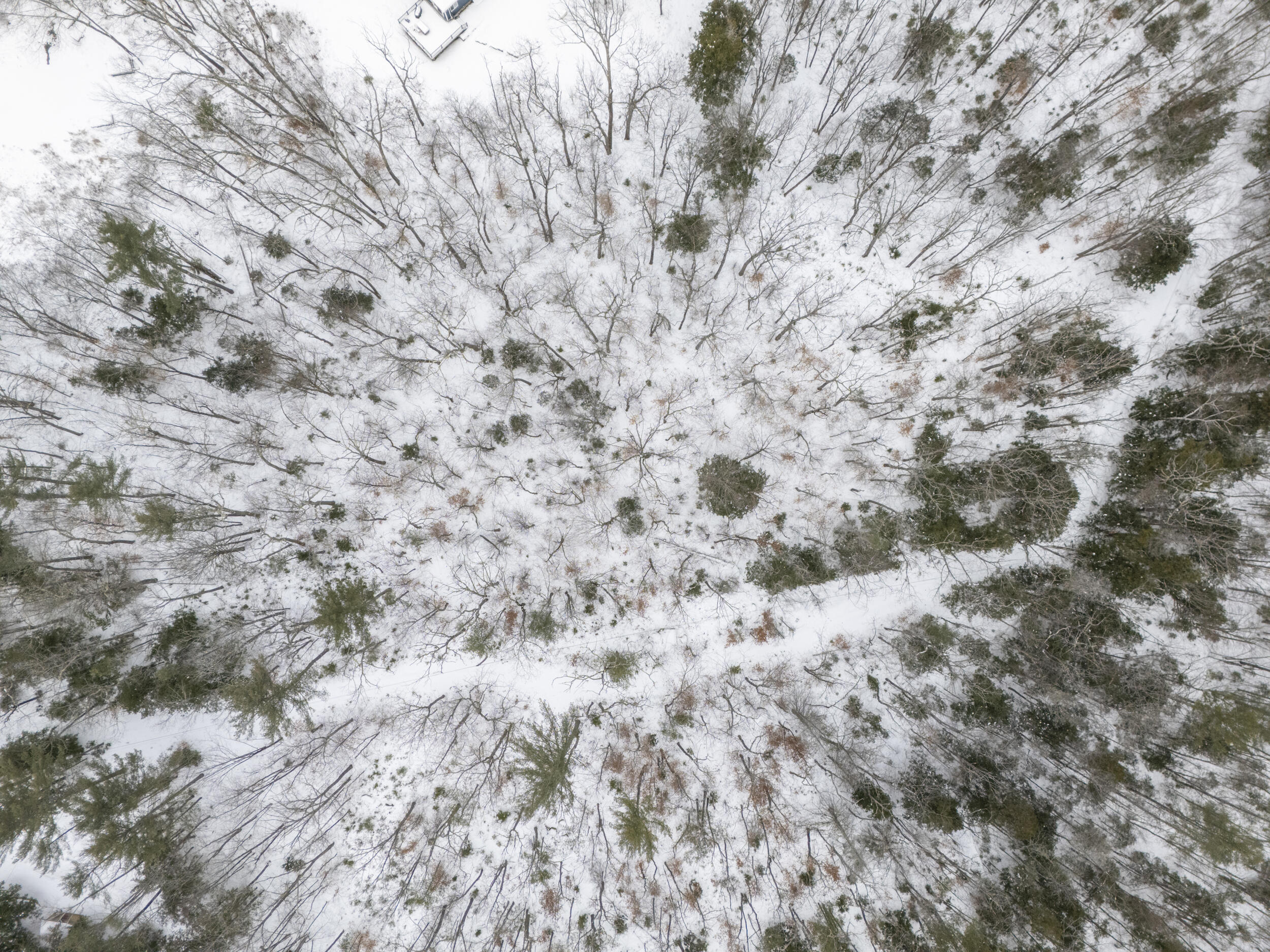 20 Virginia Lake Road