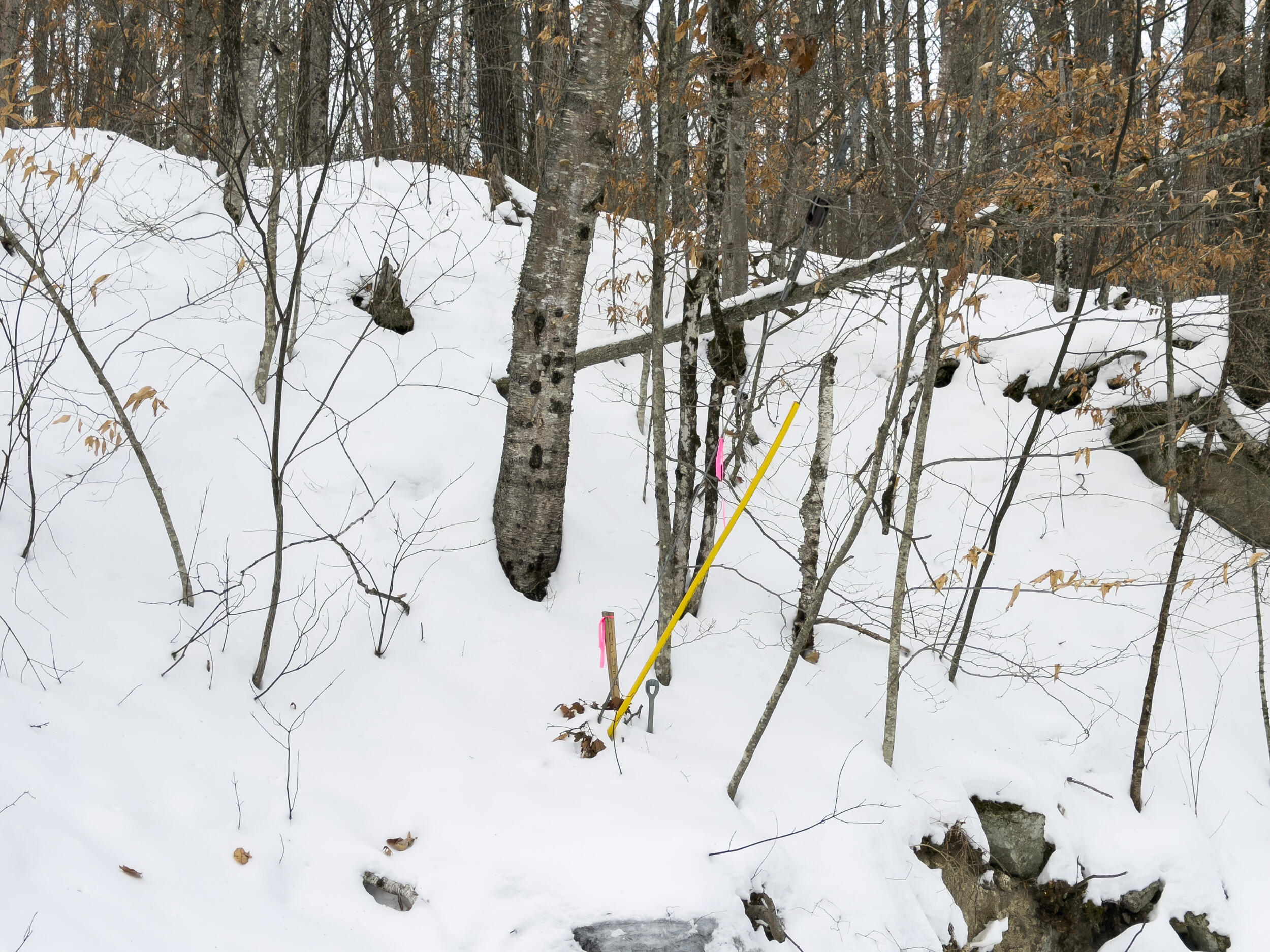 20 Virginia Lake Road