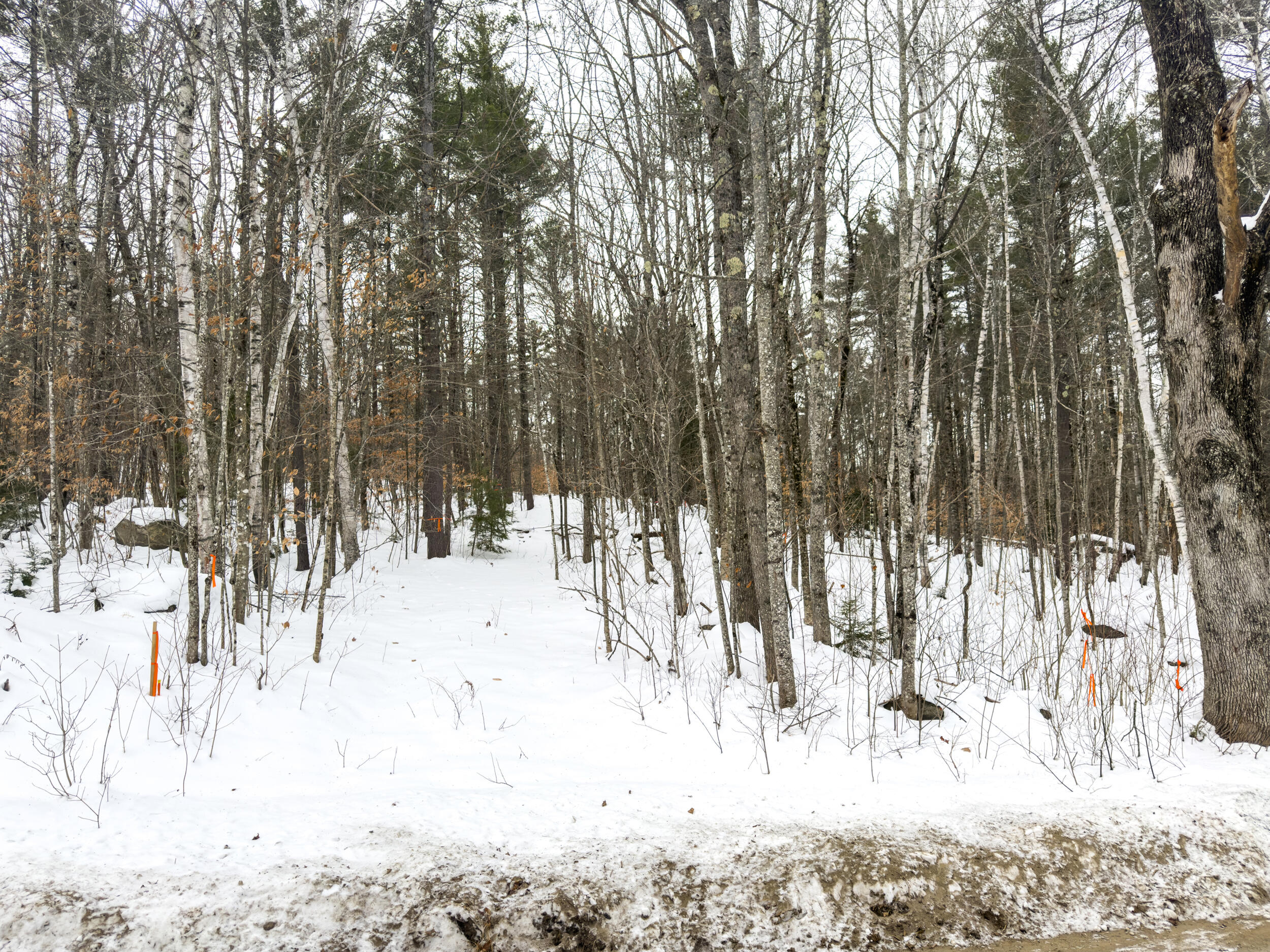 20 Virginia Lake Road