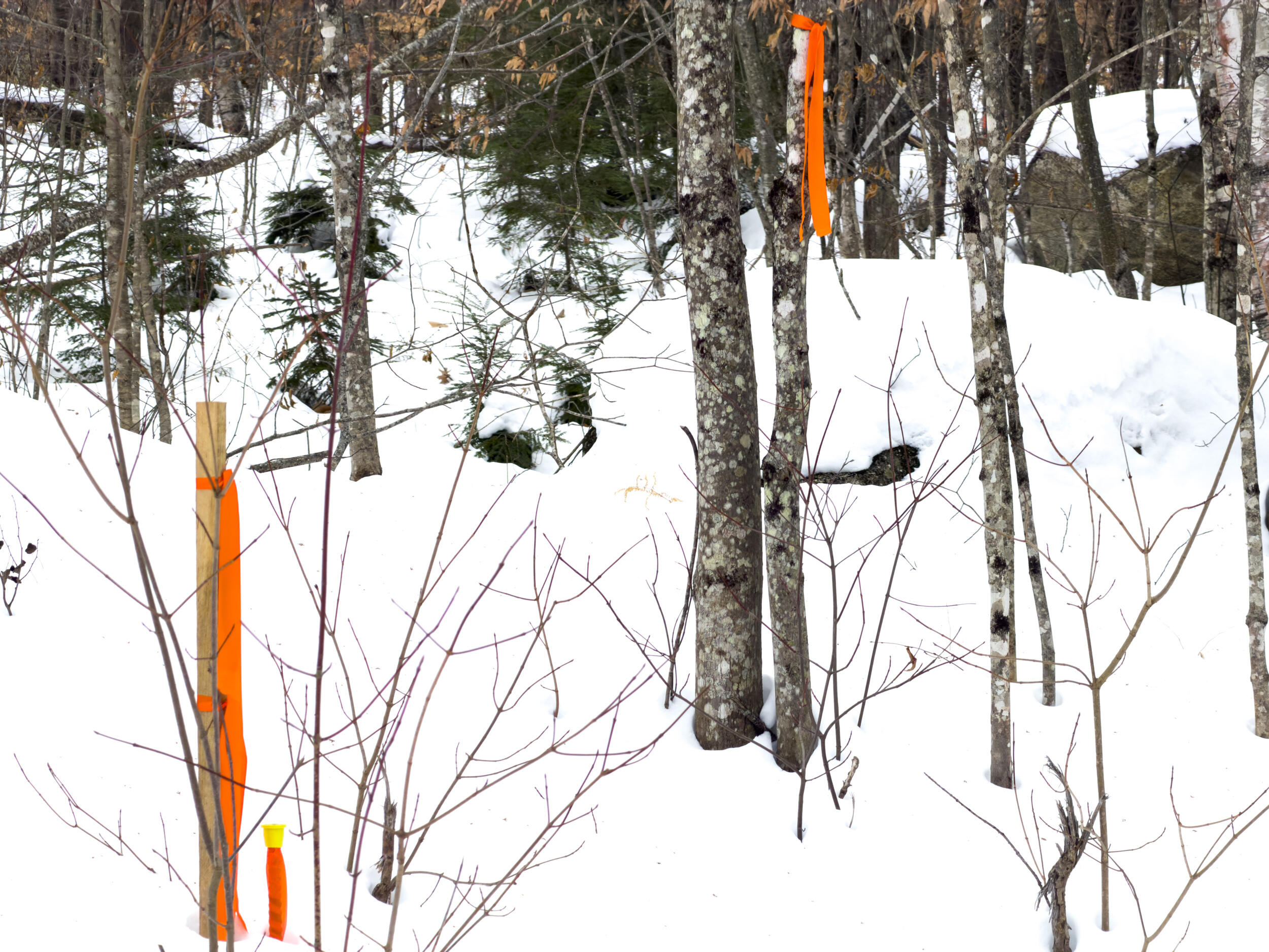 20 Virginia Lake Road