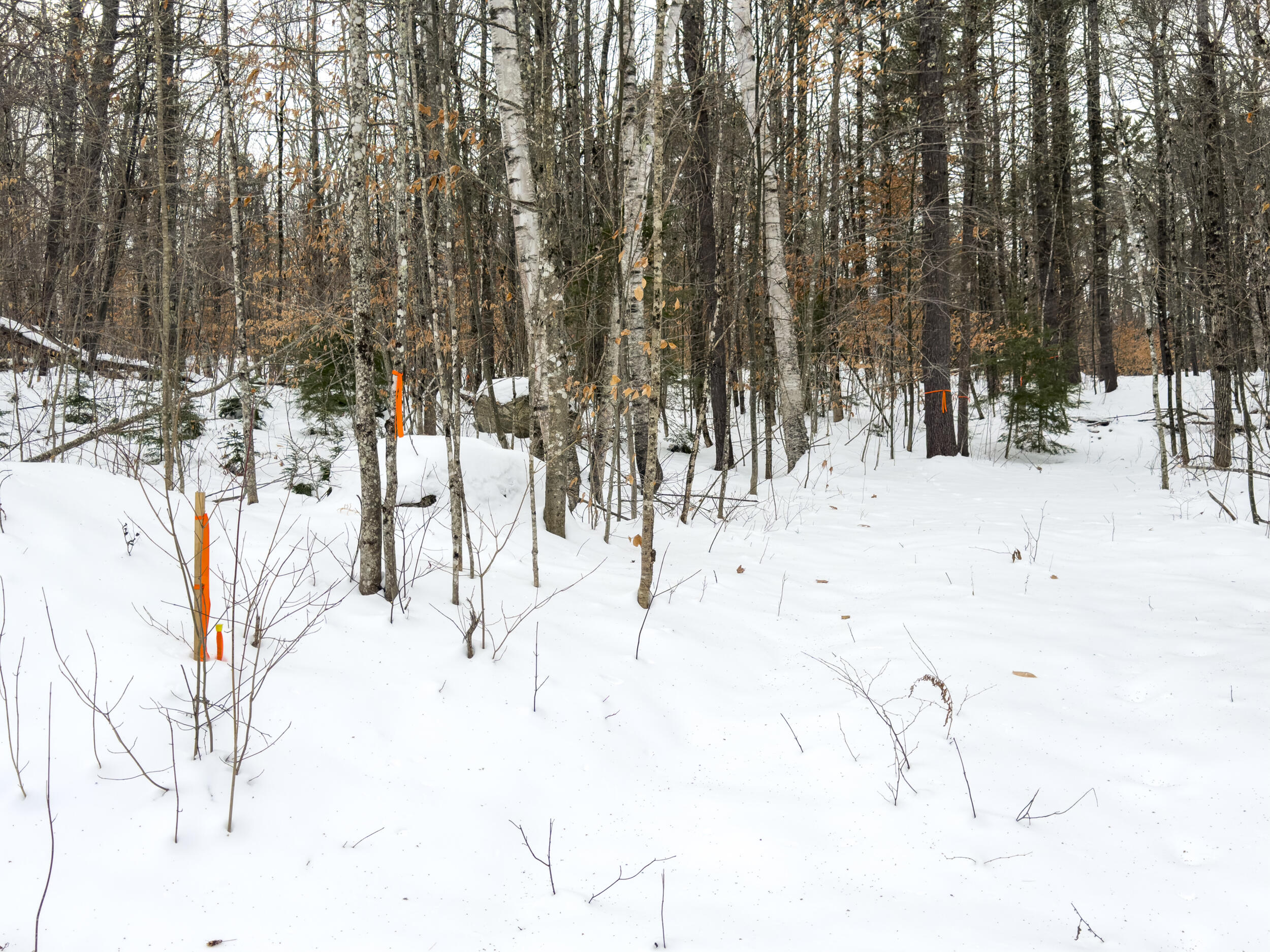 20 Virginia Lake Road