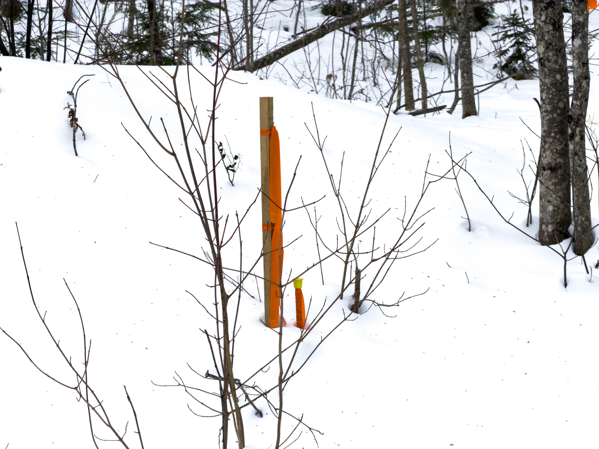 20 Virginia Lake Road