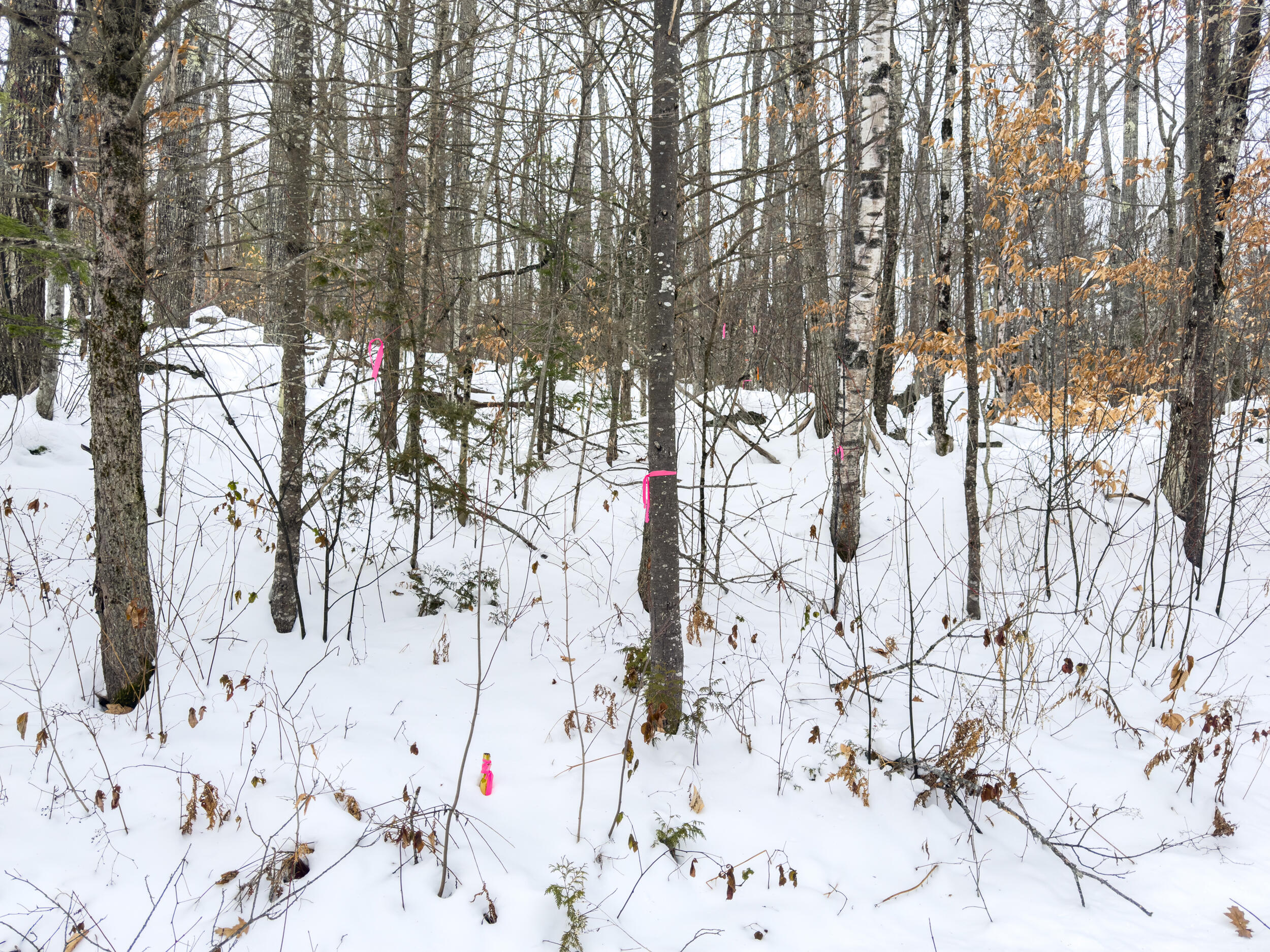 20 Virginia Lake Road