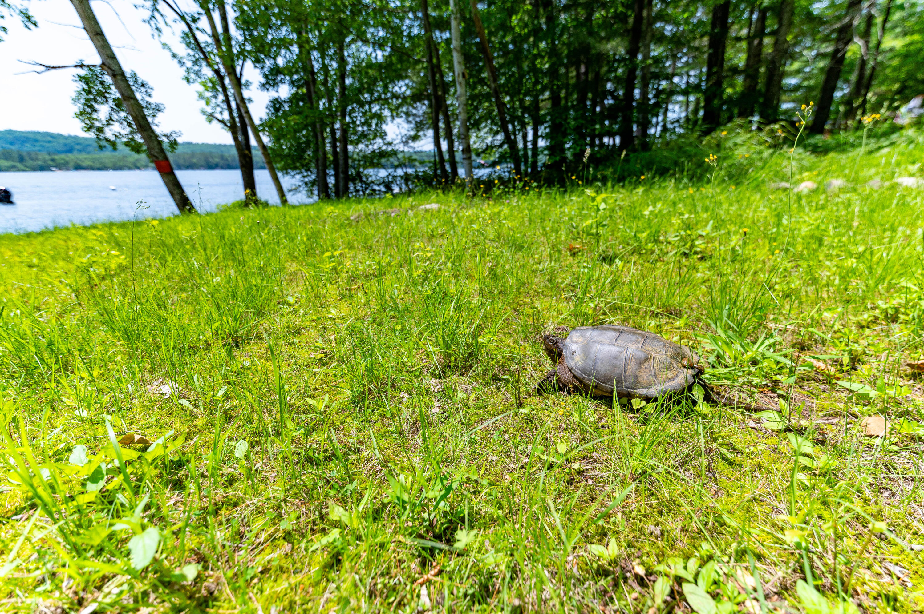 532 Cape Monday Road