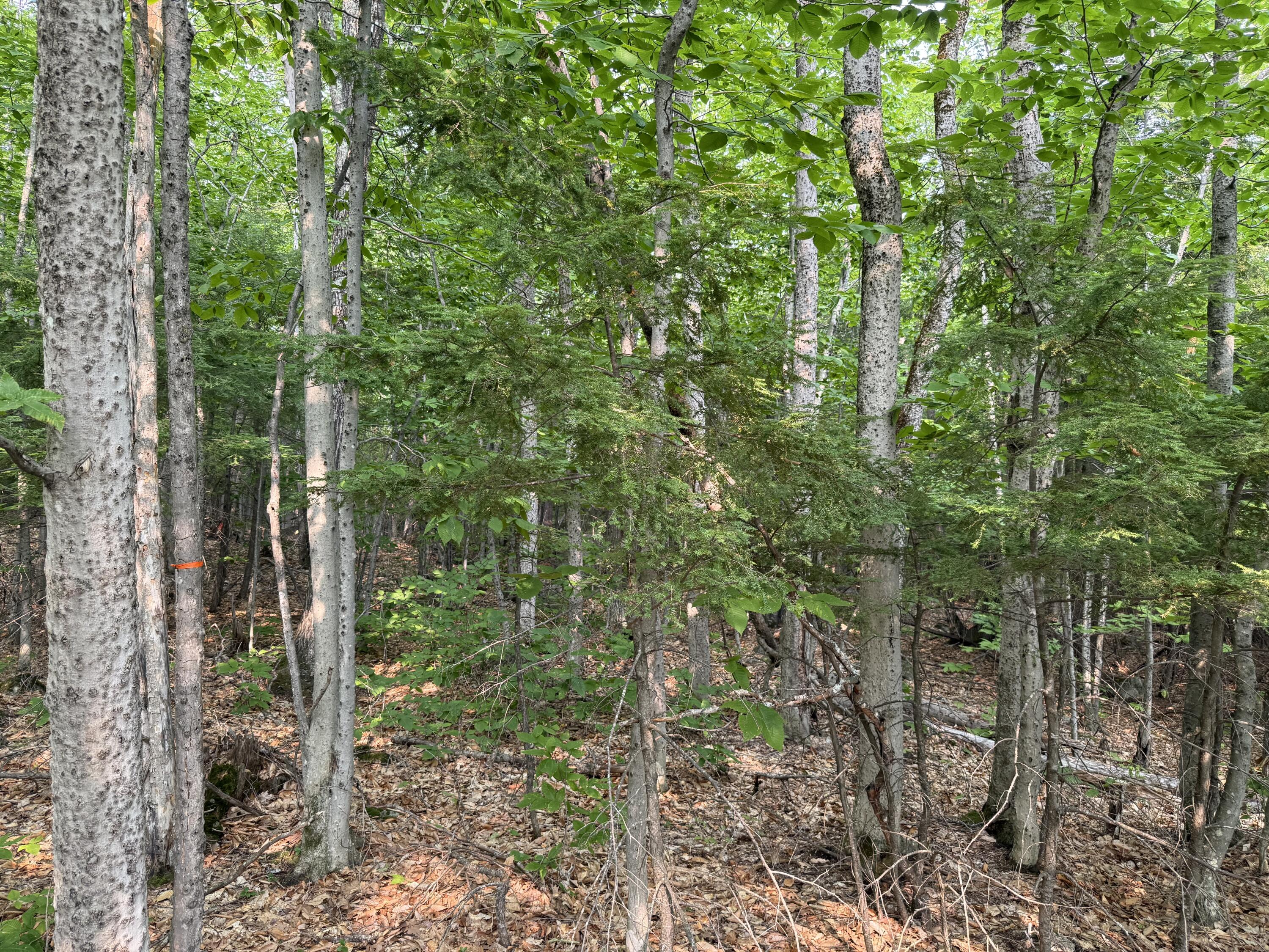 Lot 15-3A Sweden Road