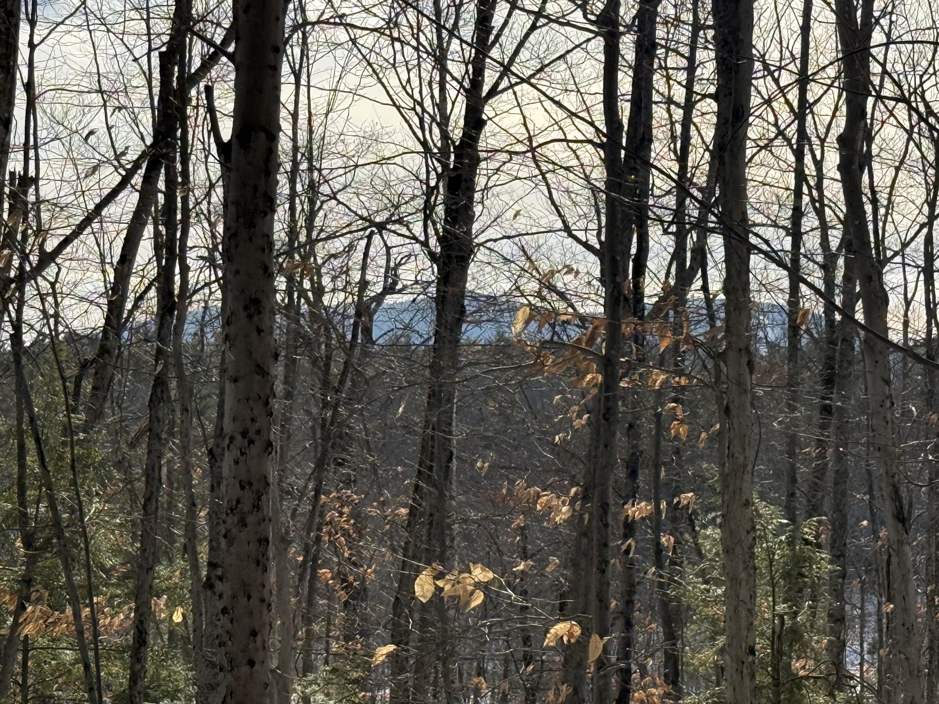 Lot 15-3A Sweden Road