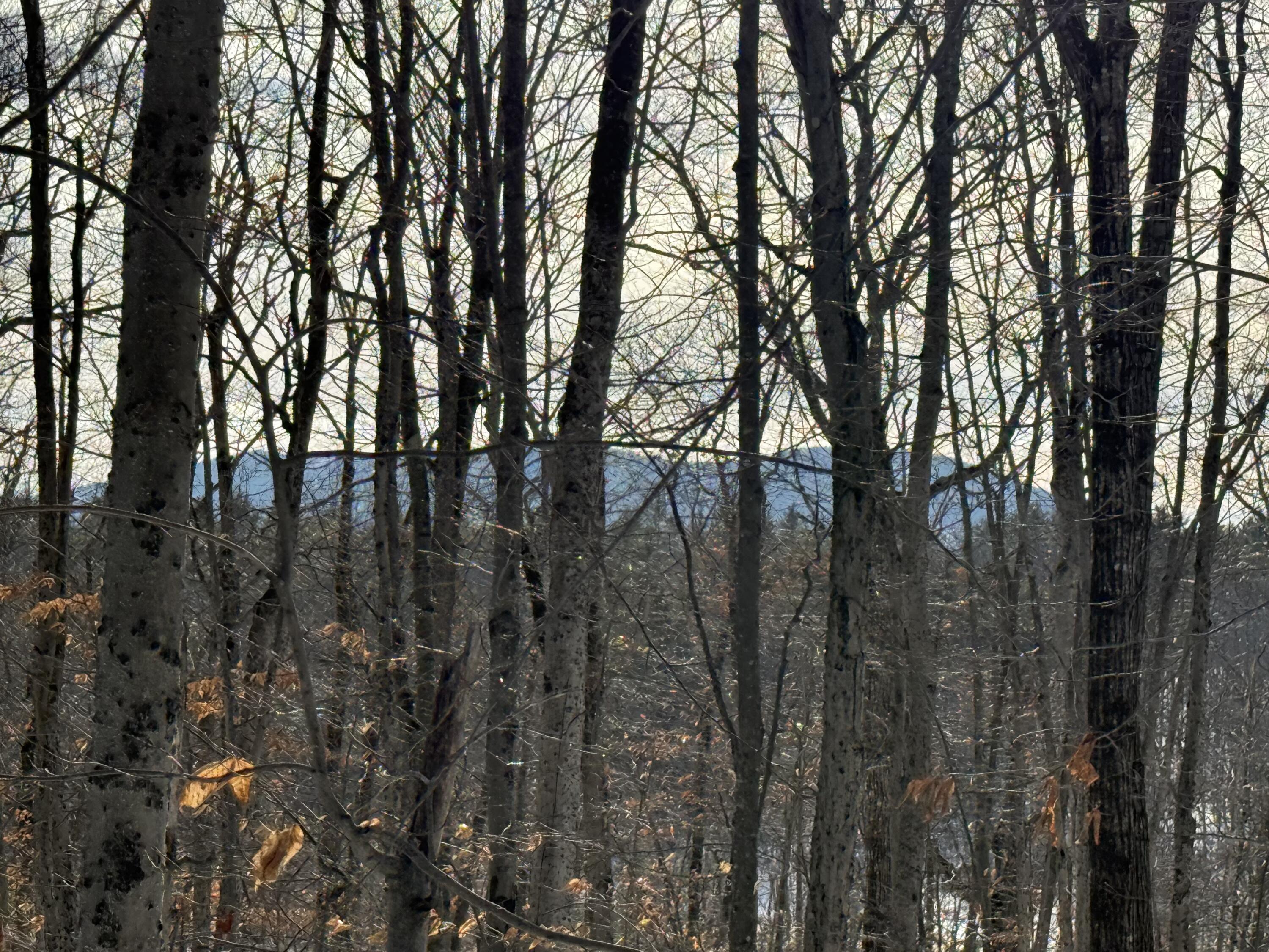 Lot 15-3B Sweden Road