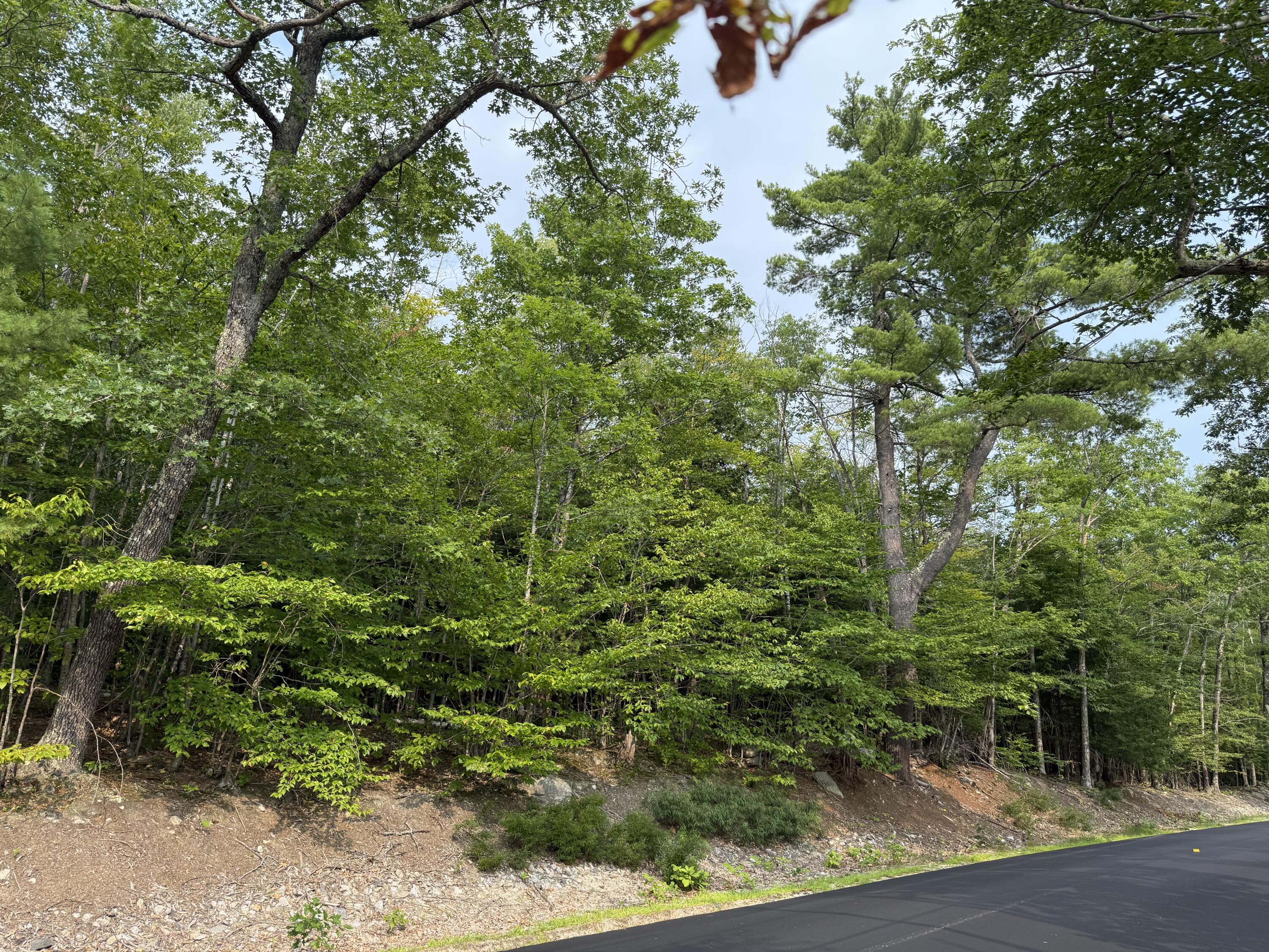 Lot 15-3B Sweden Road