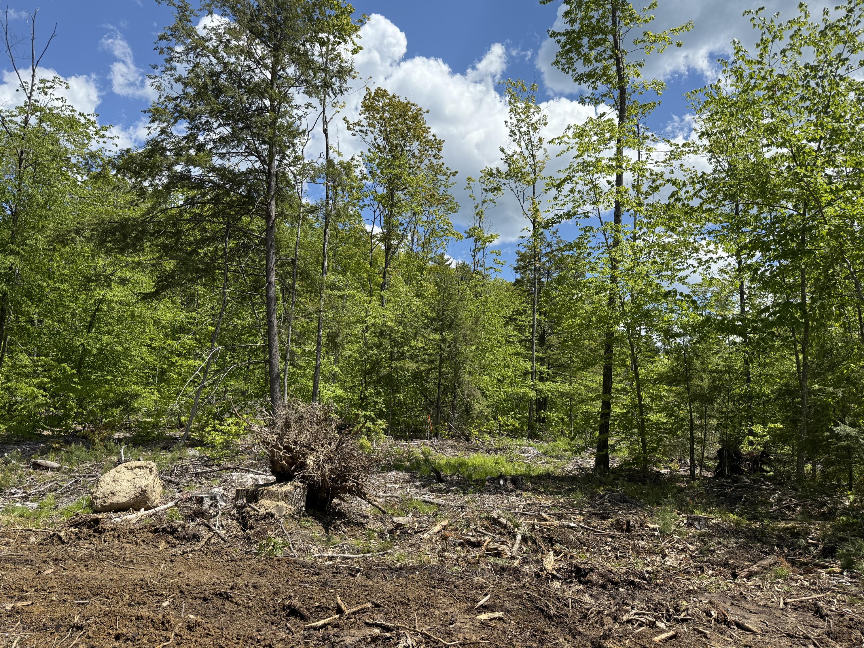 Lot 4 Brookhaven Road