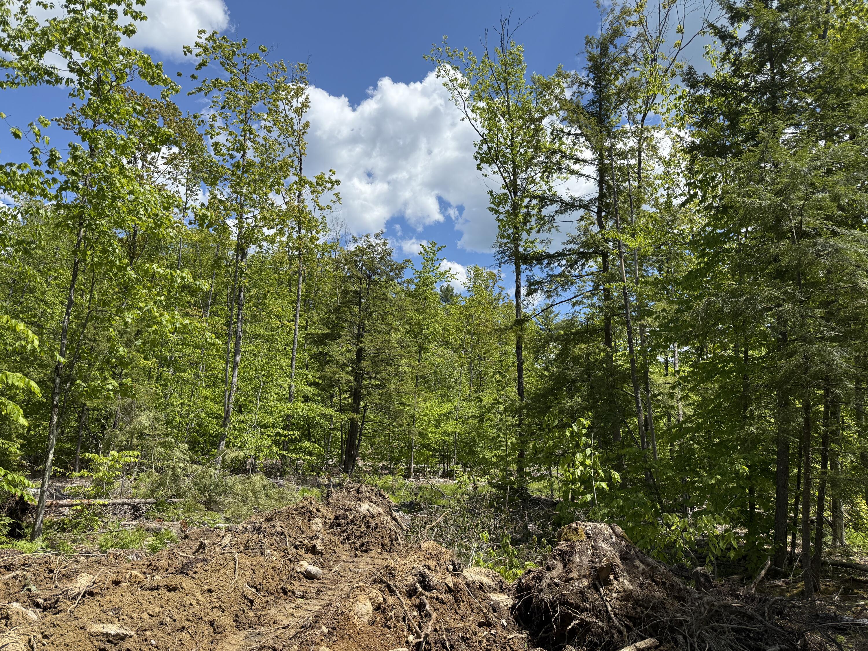 Lot 4 Brookhaven Road