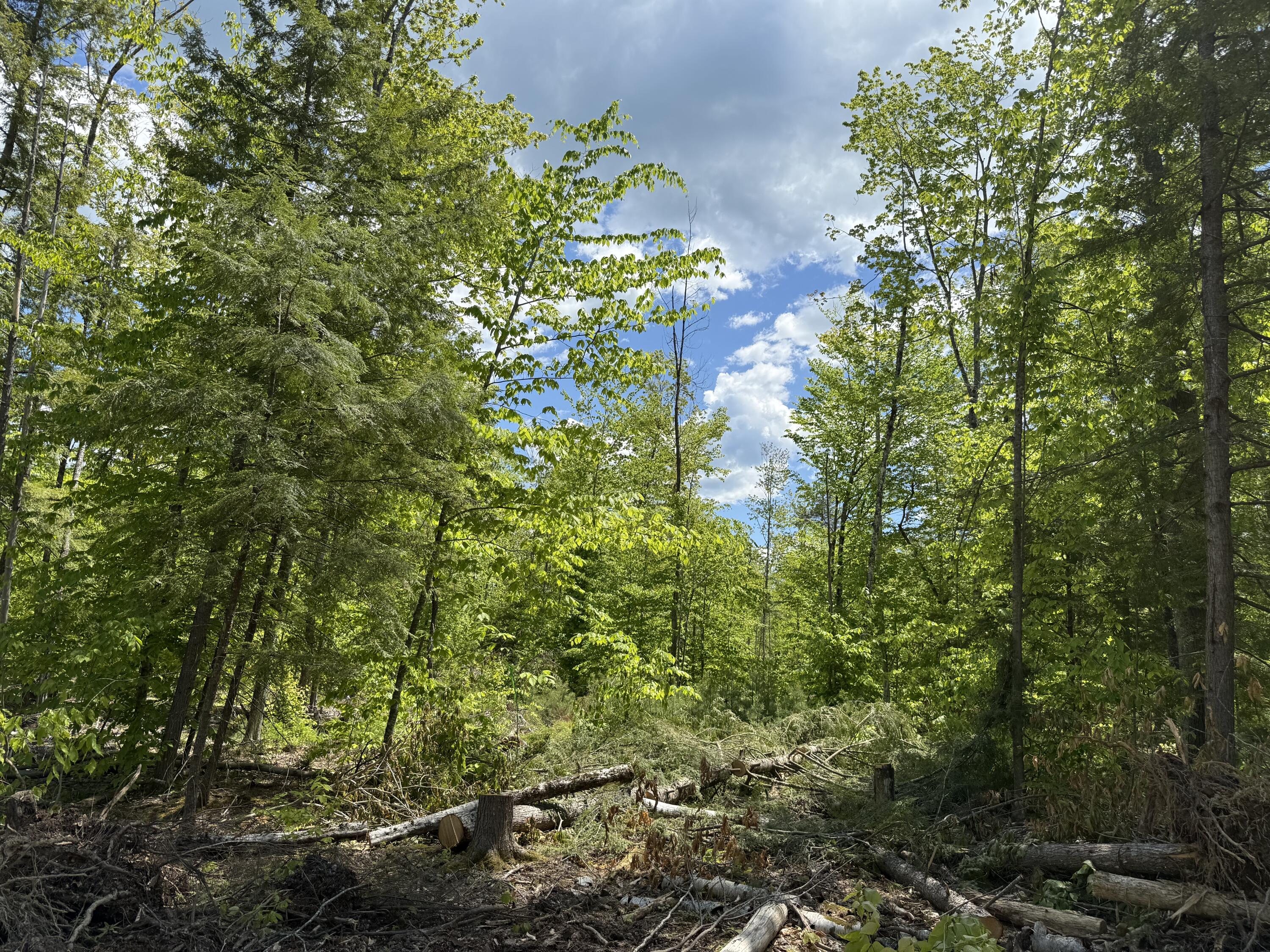 Lot 4 Brookhaven Road