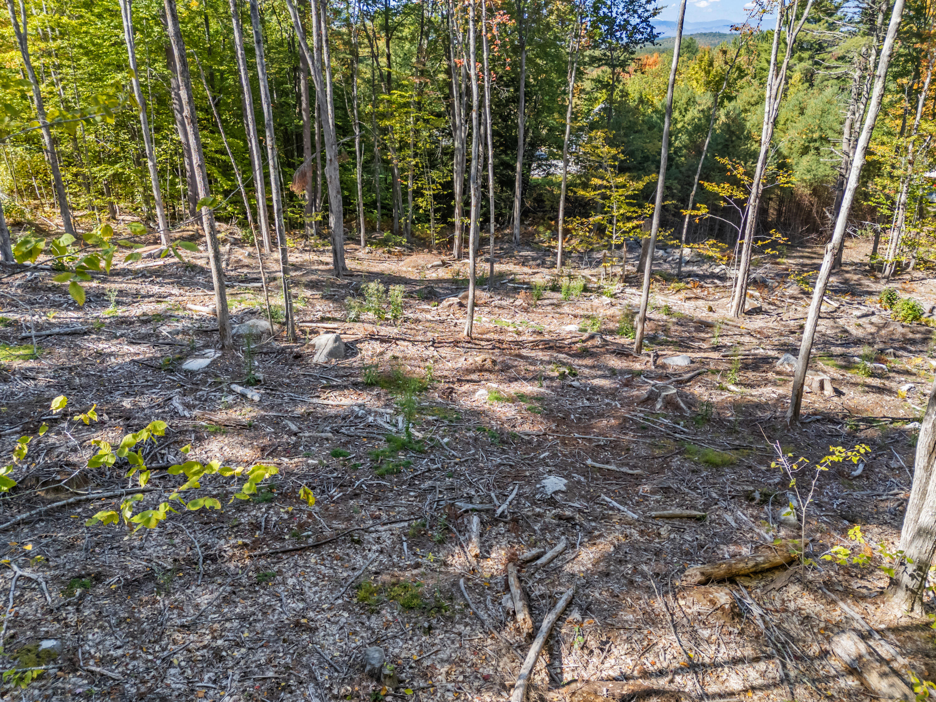 Lot 2 Olde Colony Lane