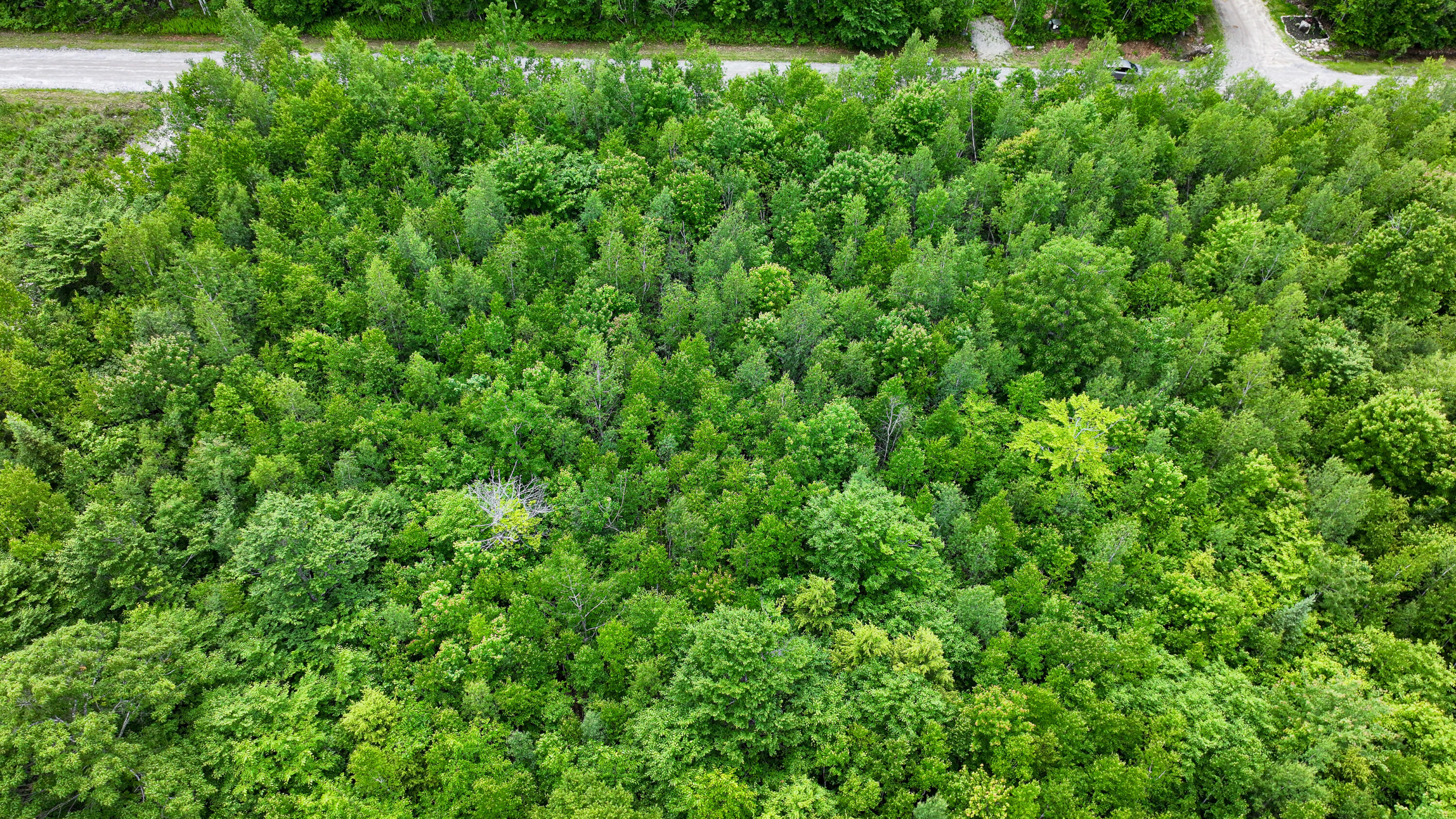 Lot 11 Moonlight Drive