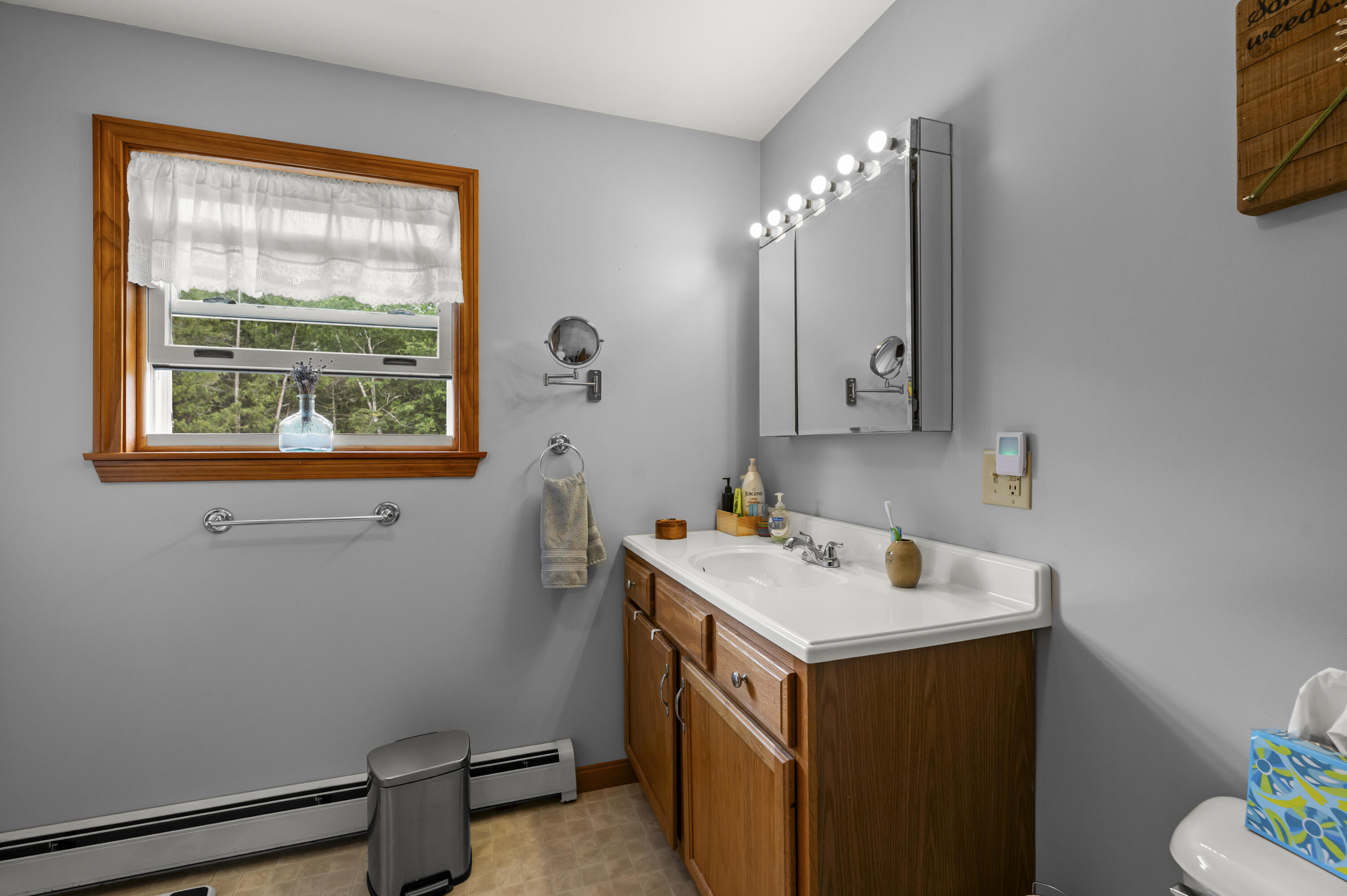 716 Moosehead Trail Highway