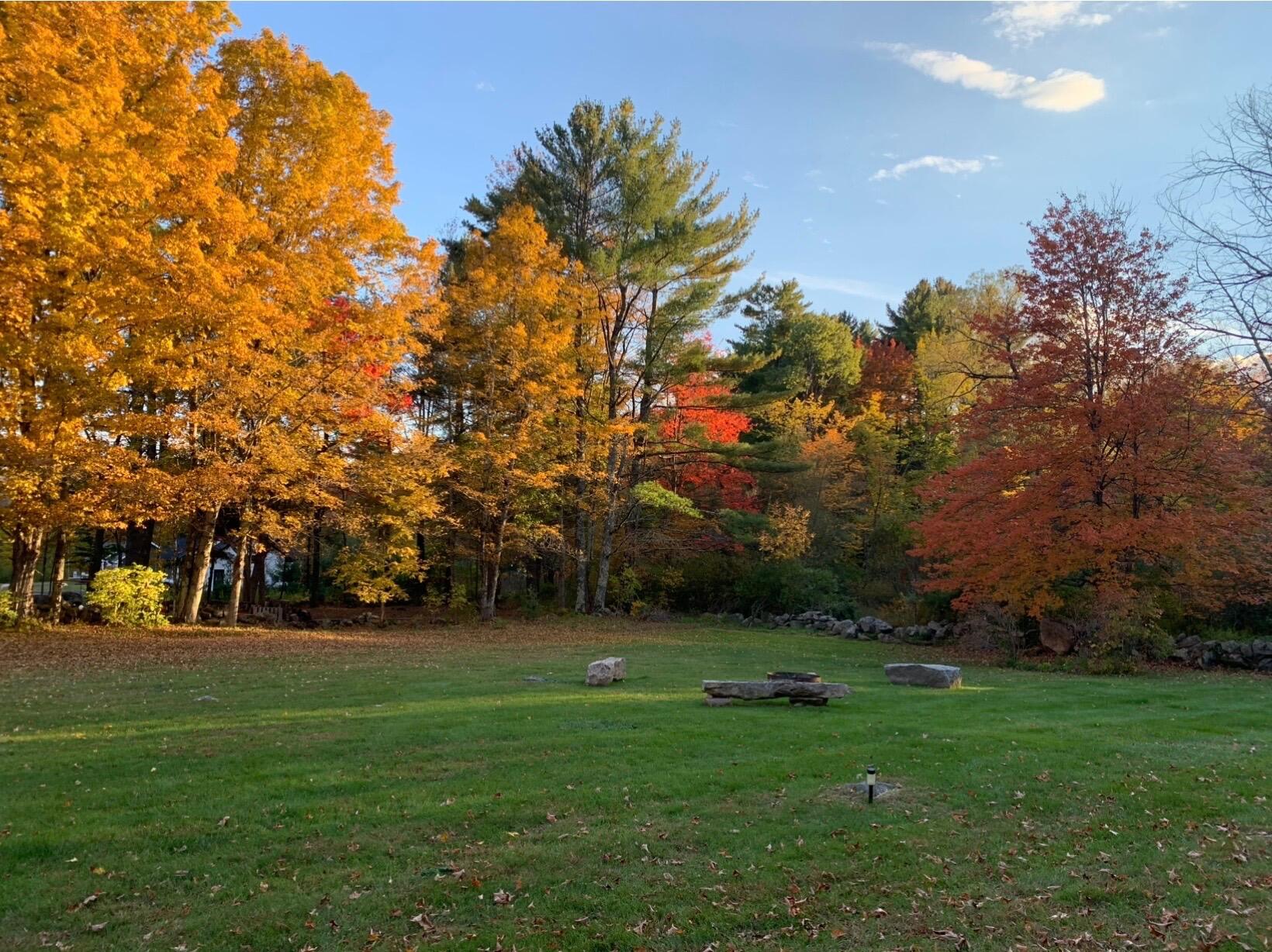 62 Old Elm Road
