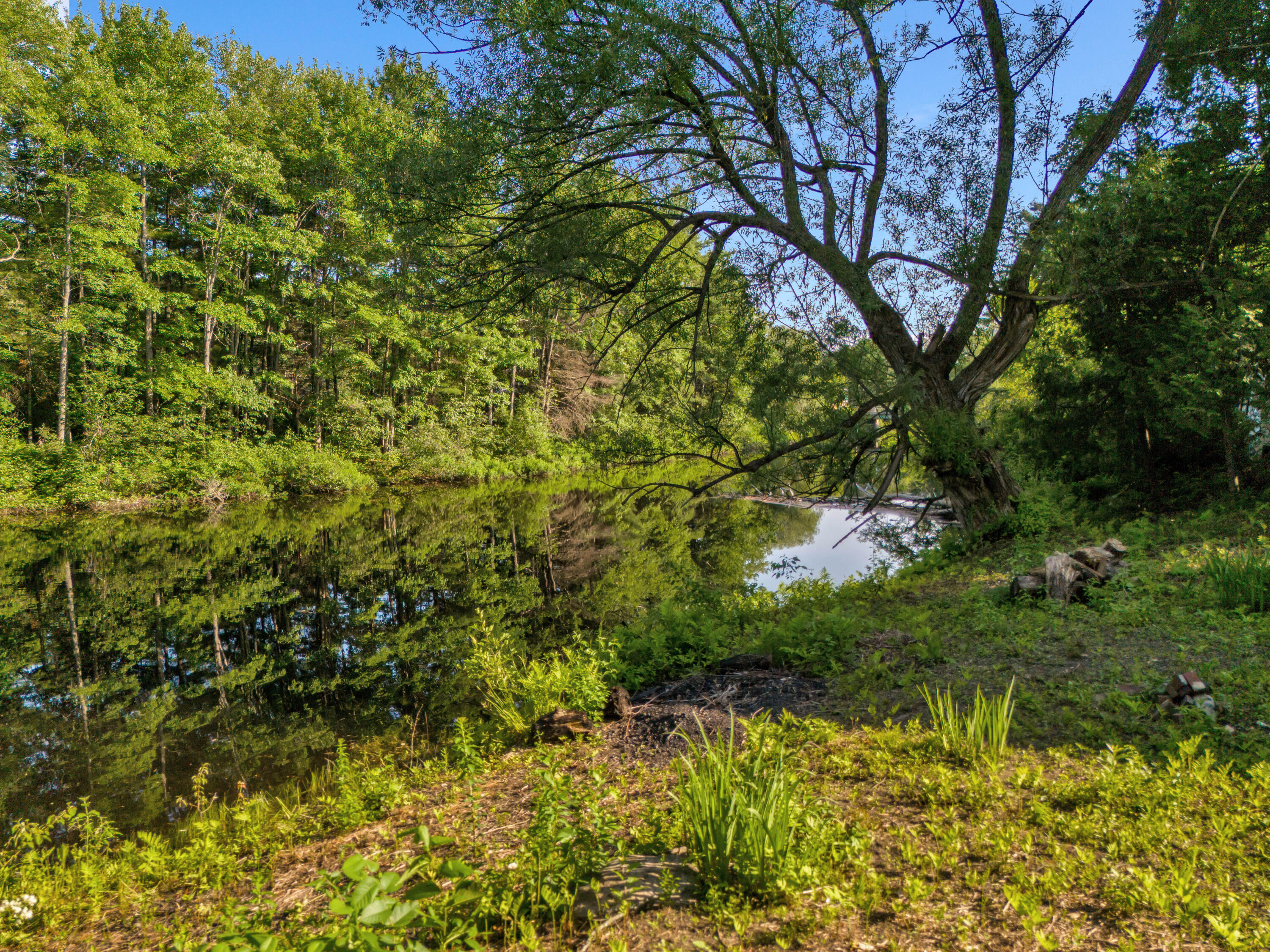 586 Plains Road