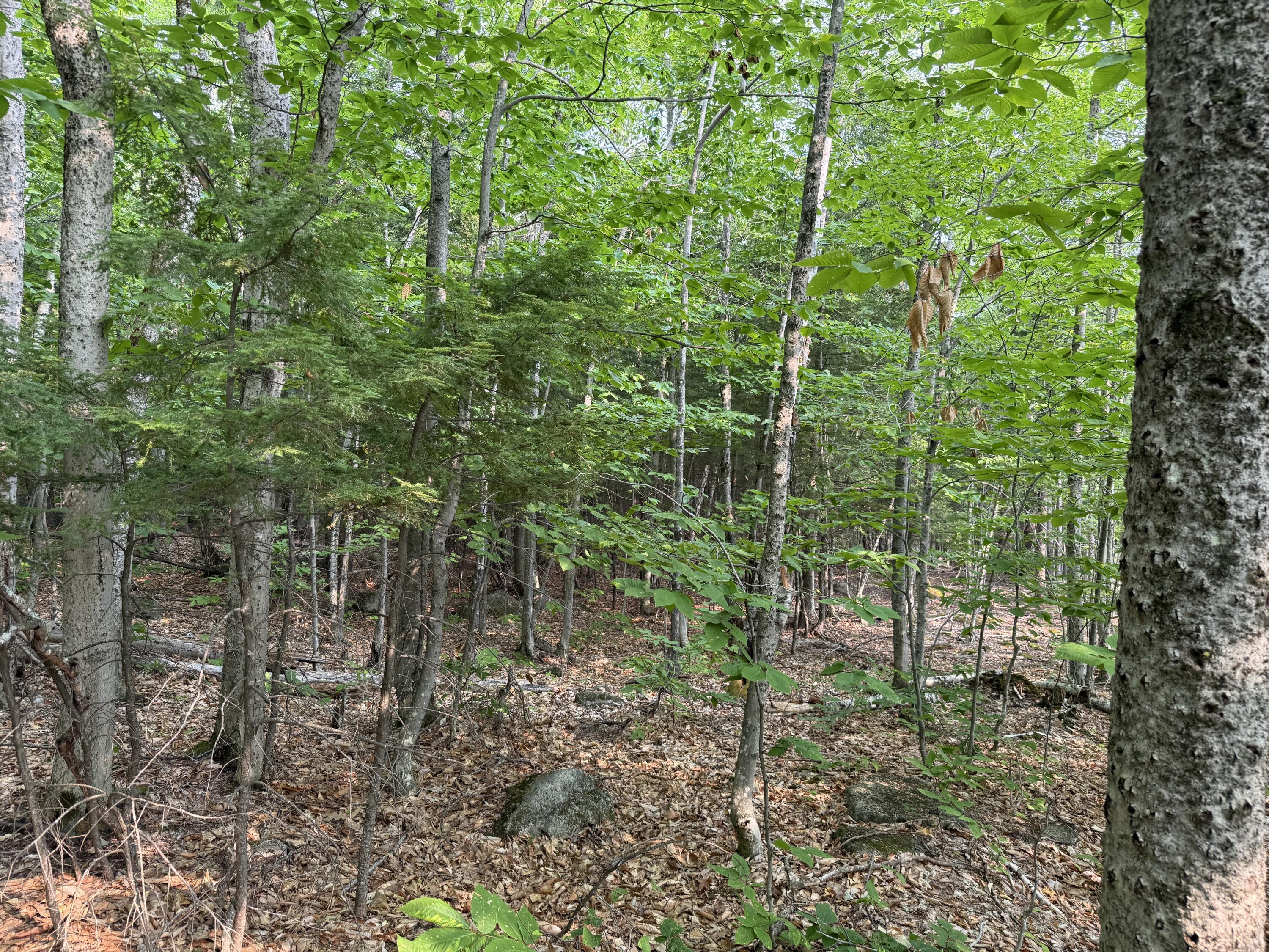 Lot 15-3B Sweden Road