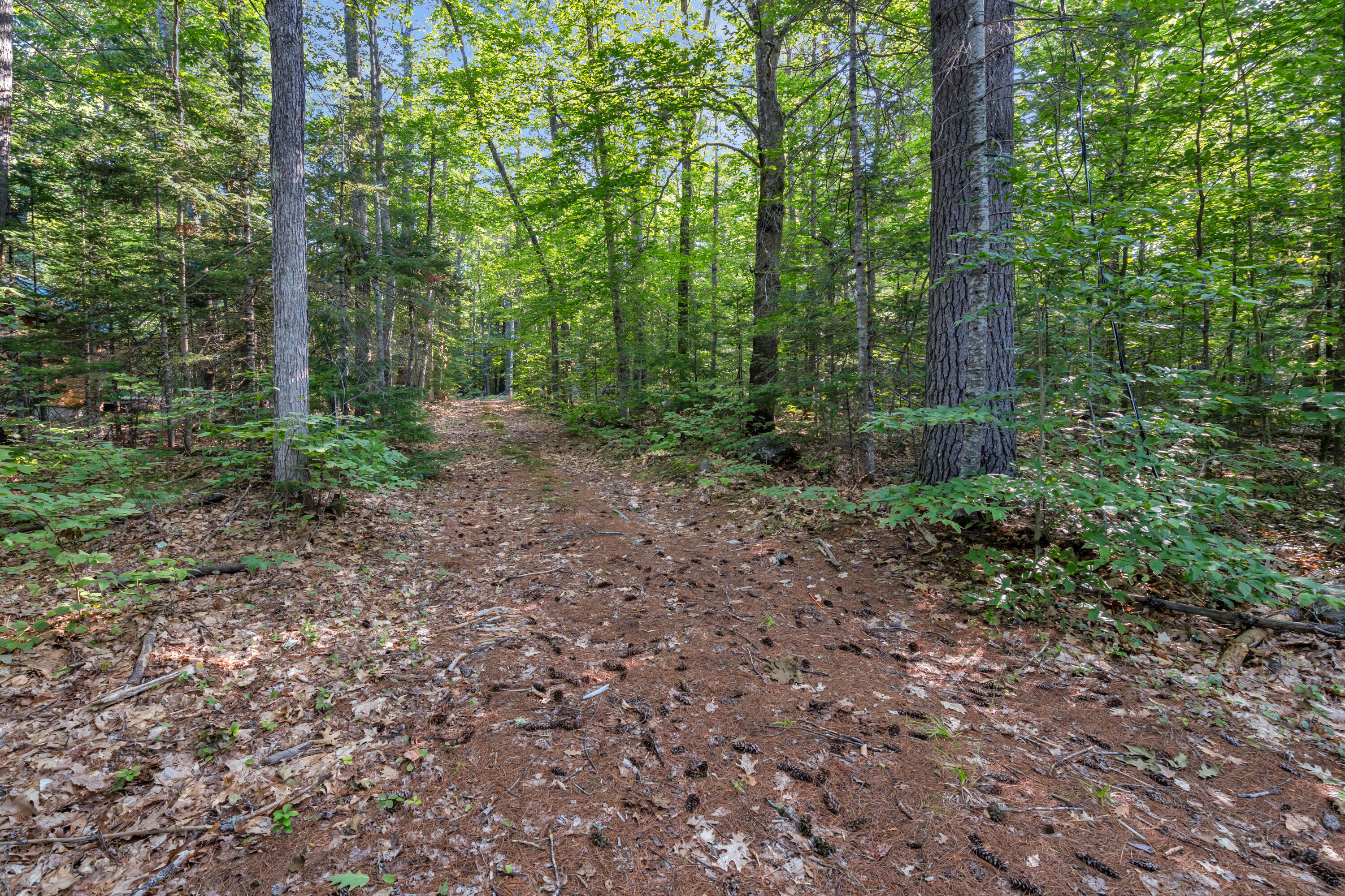 273 Hardscrabble Road