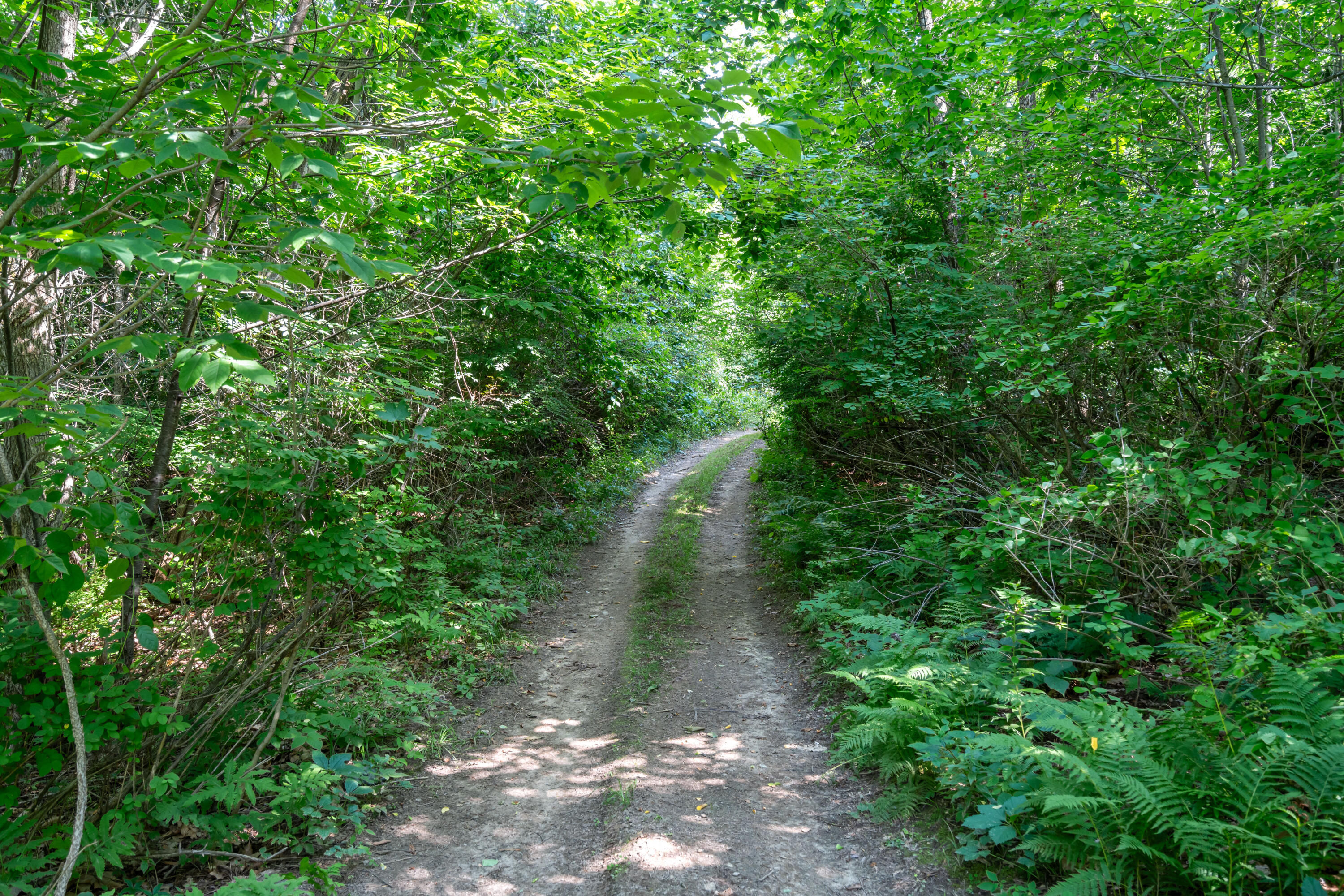 148 Lake House Road