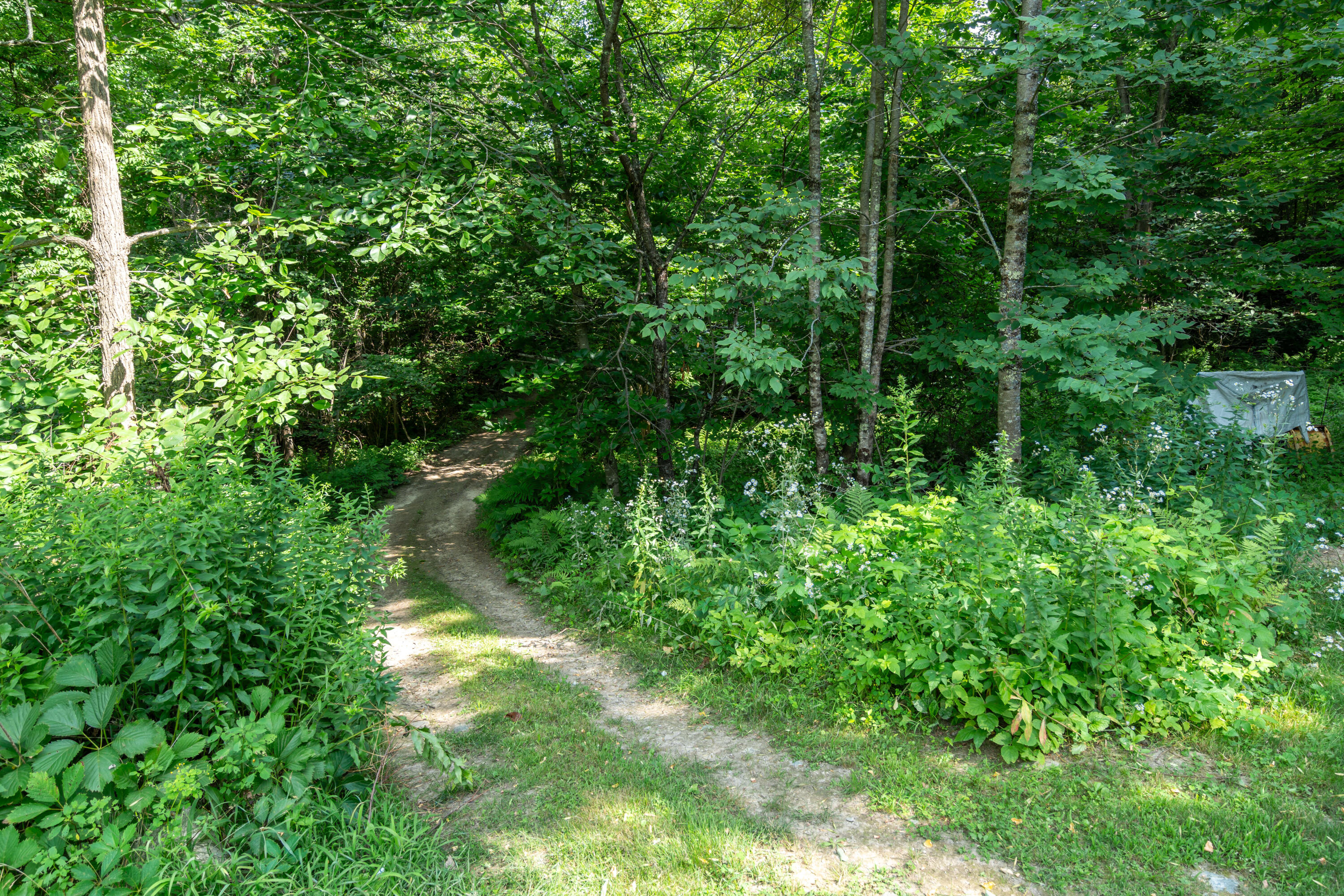 148 Lake House Road